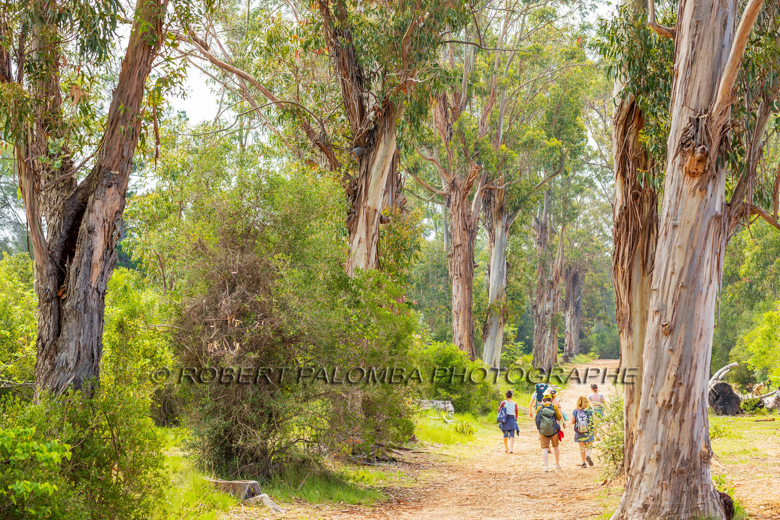 Lérins Sainte-Marguerite