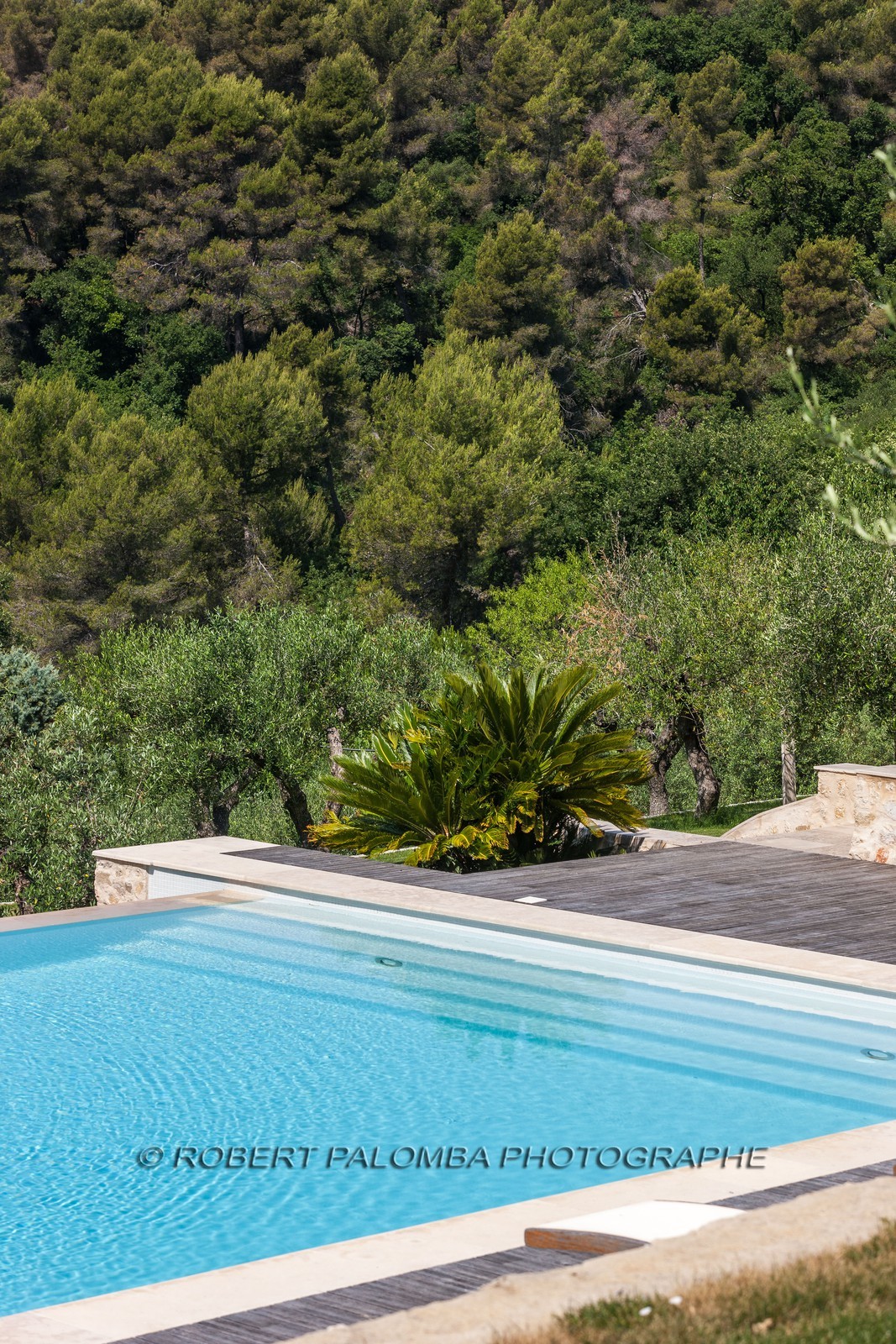 Piscine en Provence