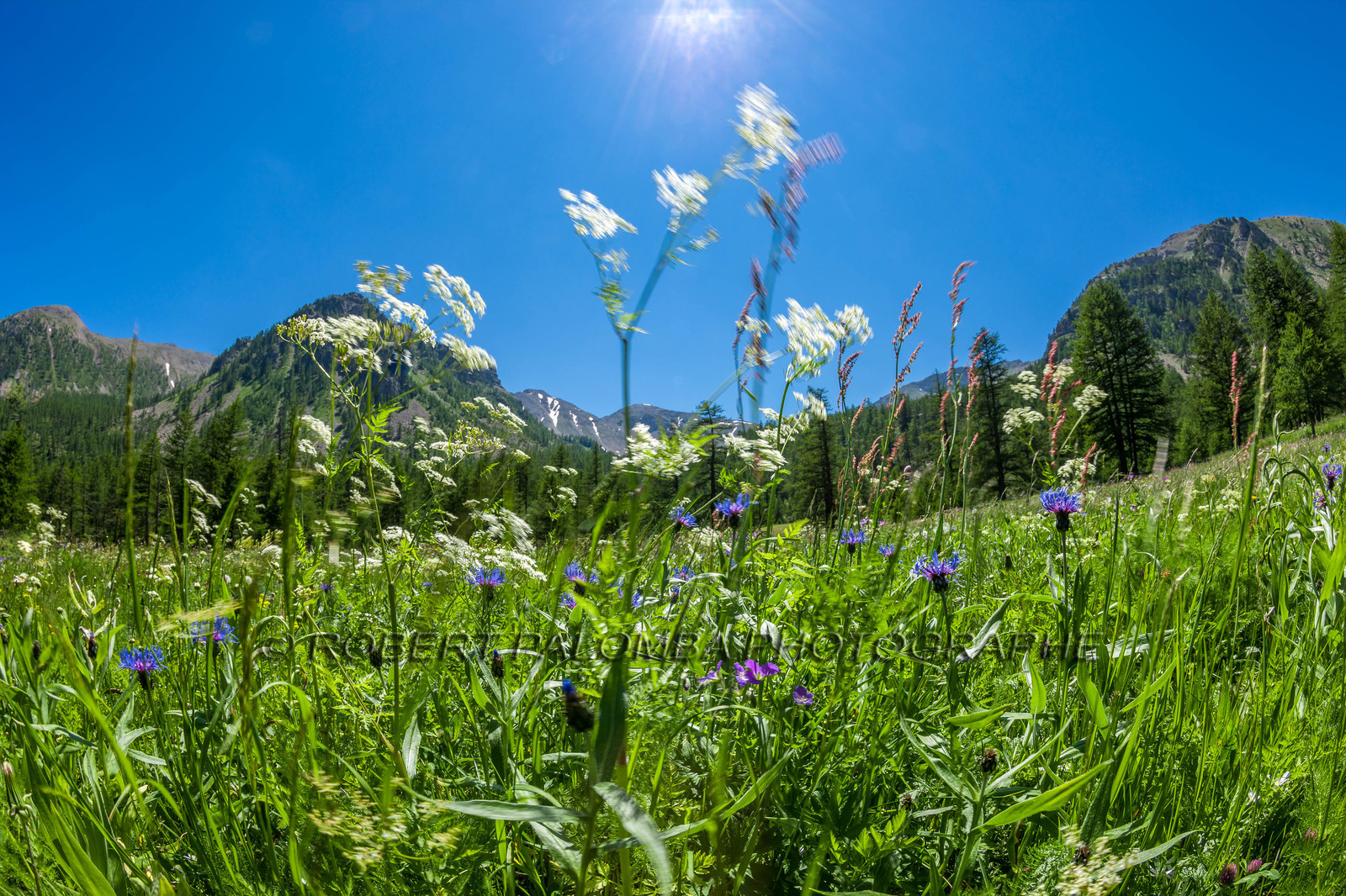 Col de la Moutière