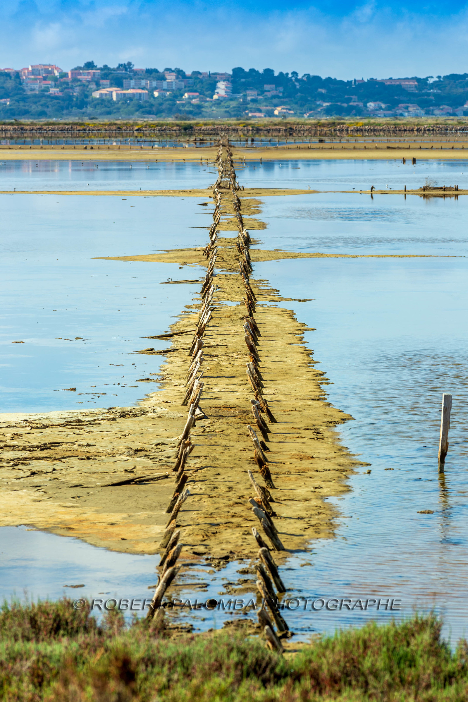 Salins d'Hyères