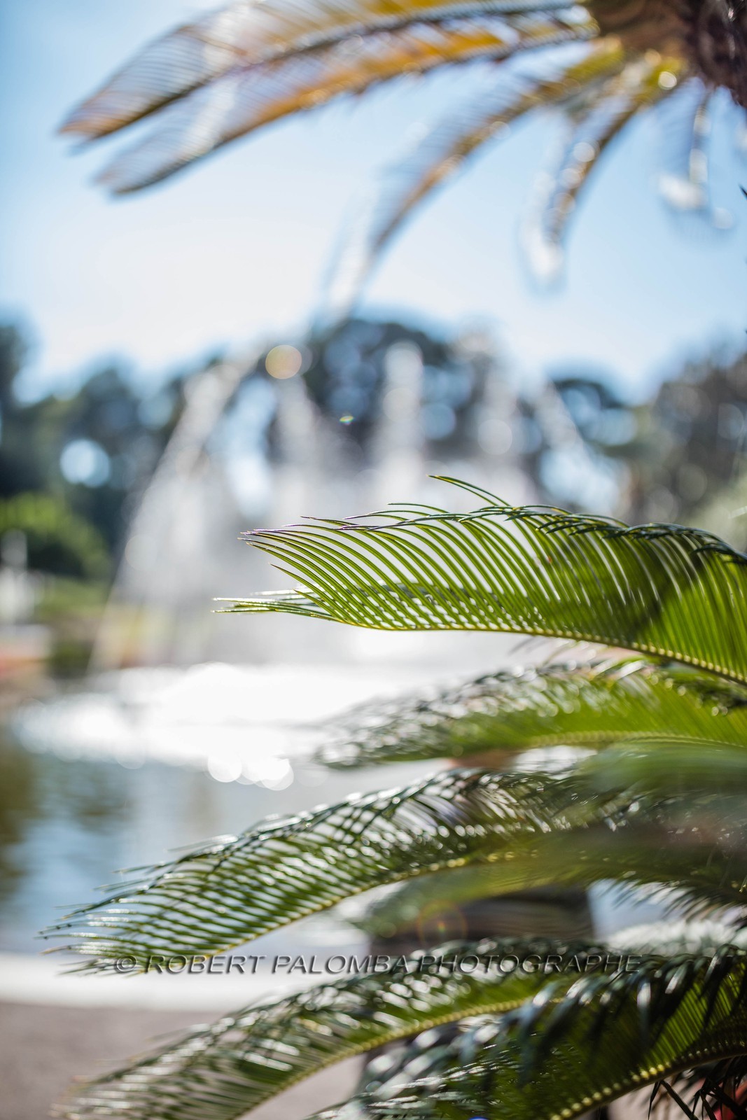 Saint-Jean-Cap-Ferrat