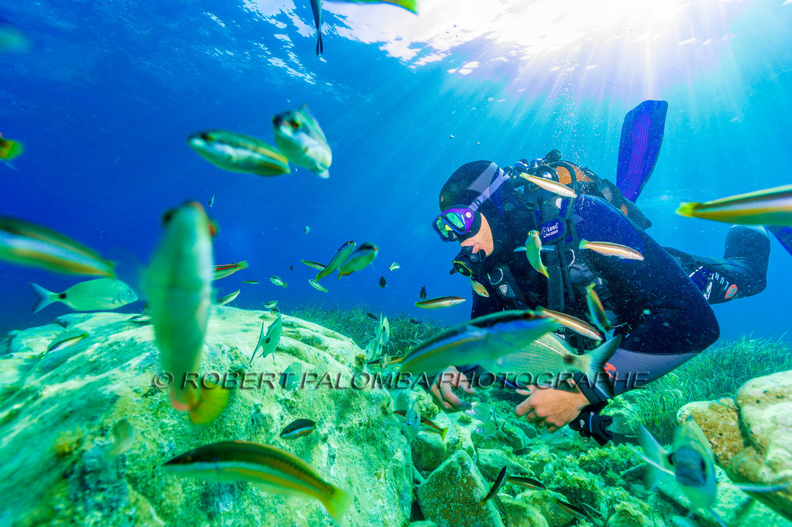 Plongée-sous-marine