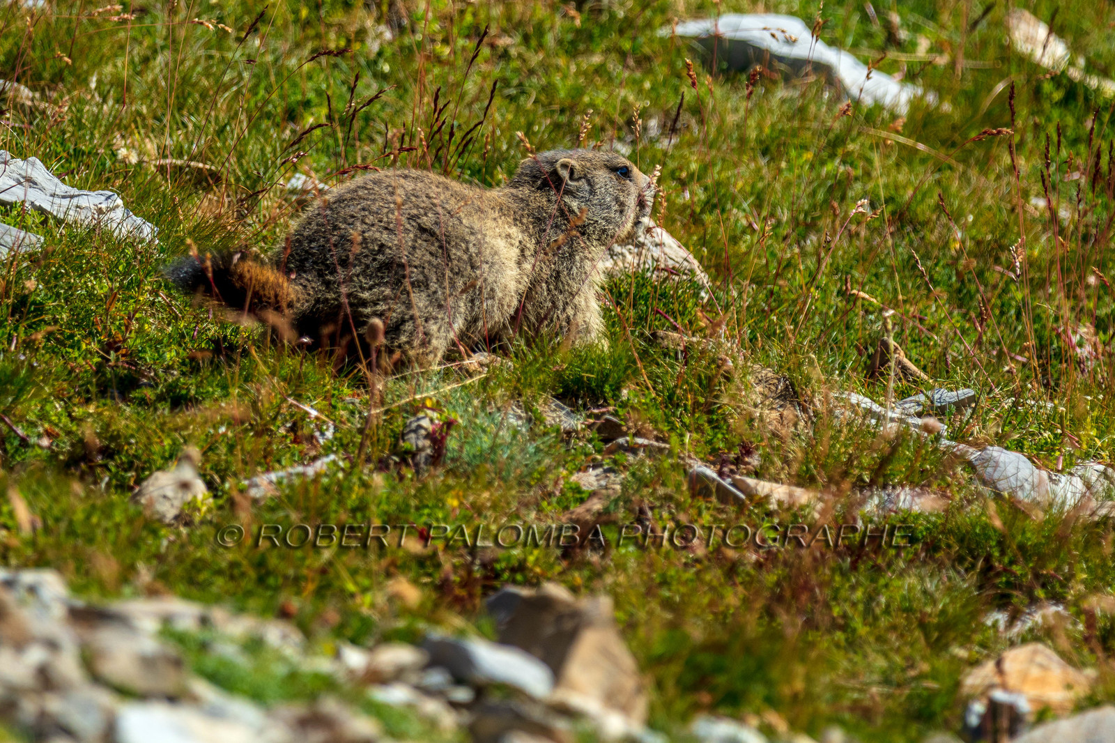 Rando des trois lacs