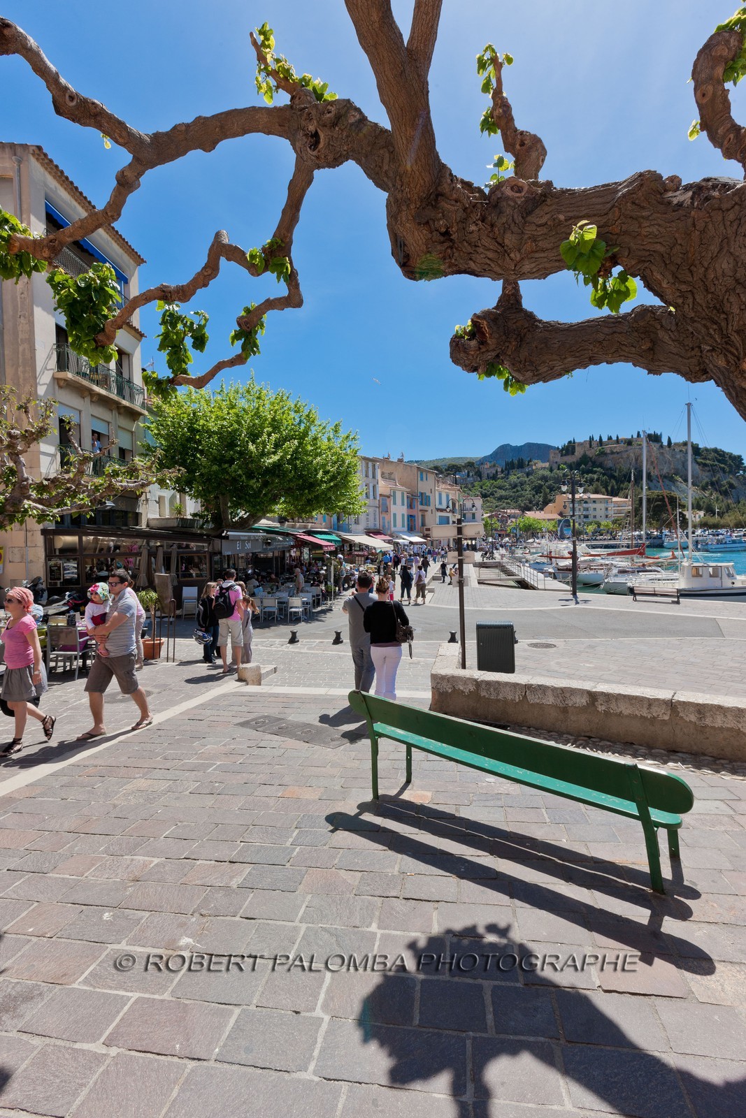Cassis