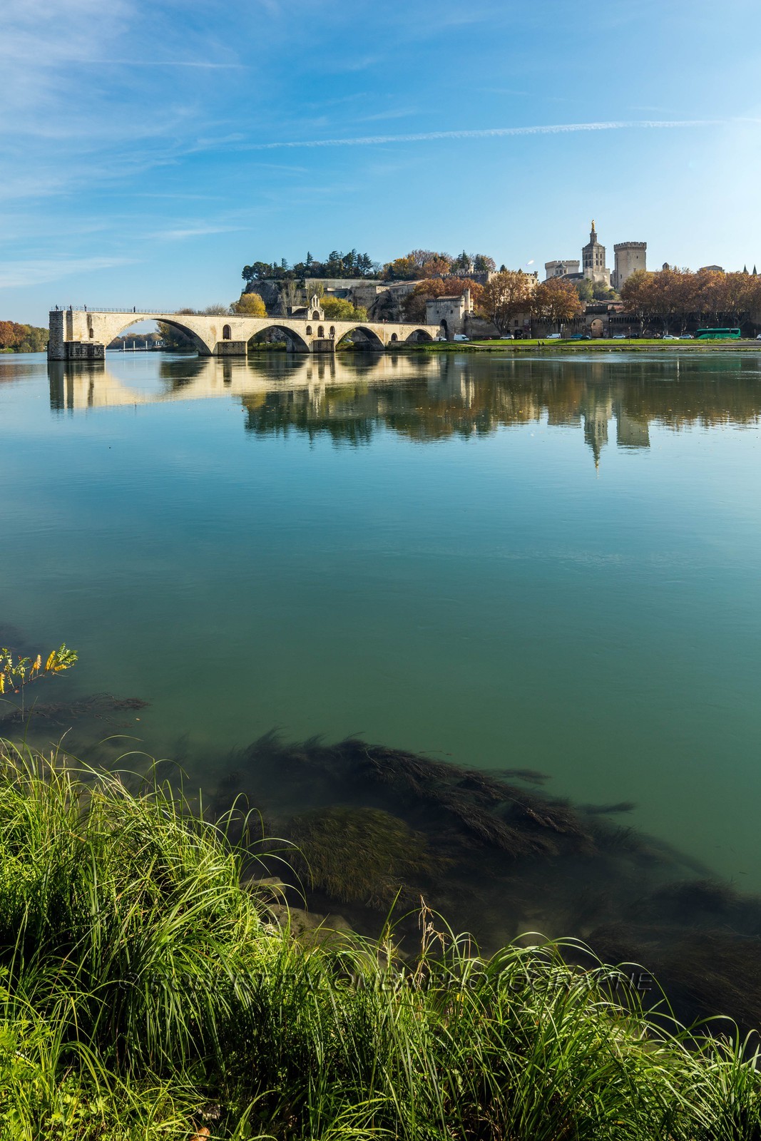 Avignon