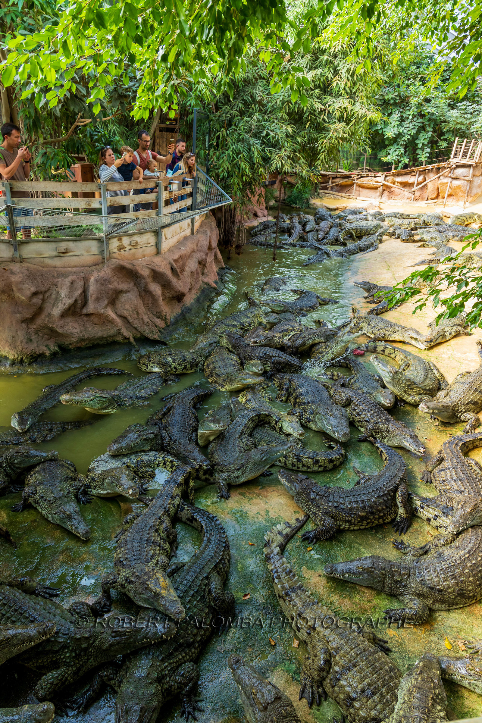 La Ferme aux crocodiles