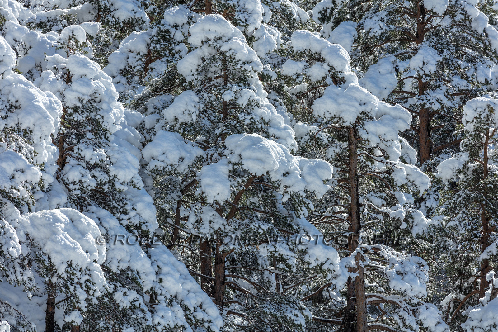 La Colle-Saint-Michel