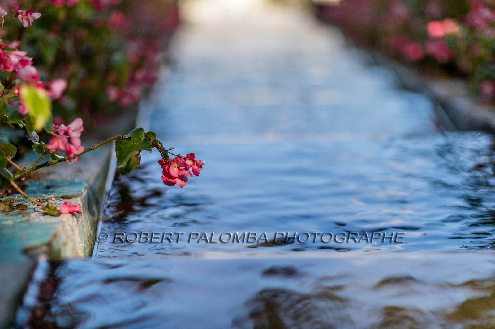 Saint-Jean-Cap-Ferrat