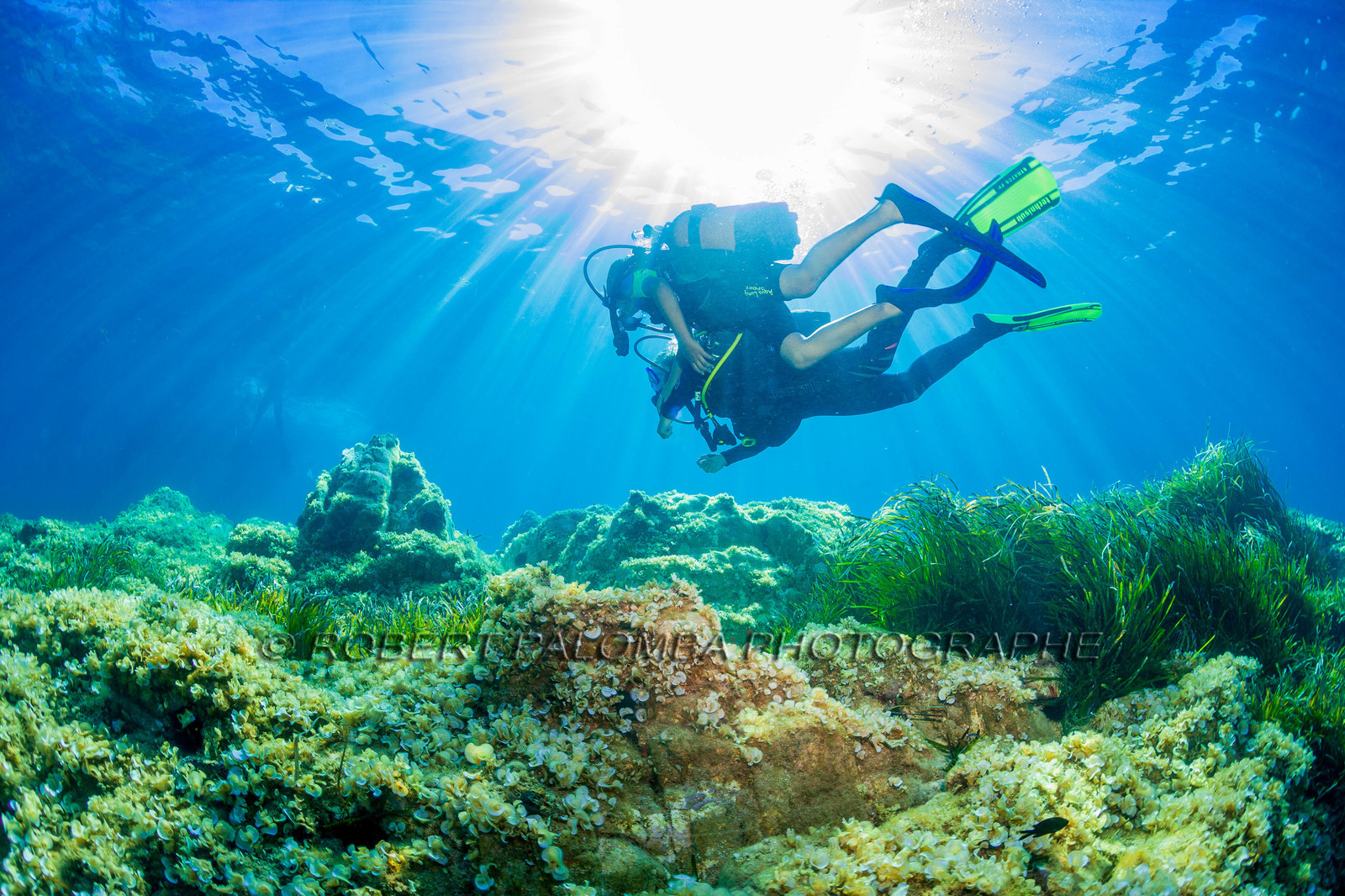 Plongée-sous-marine