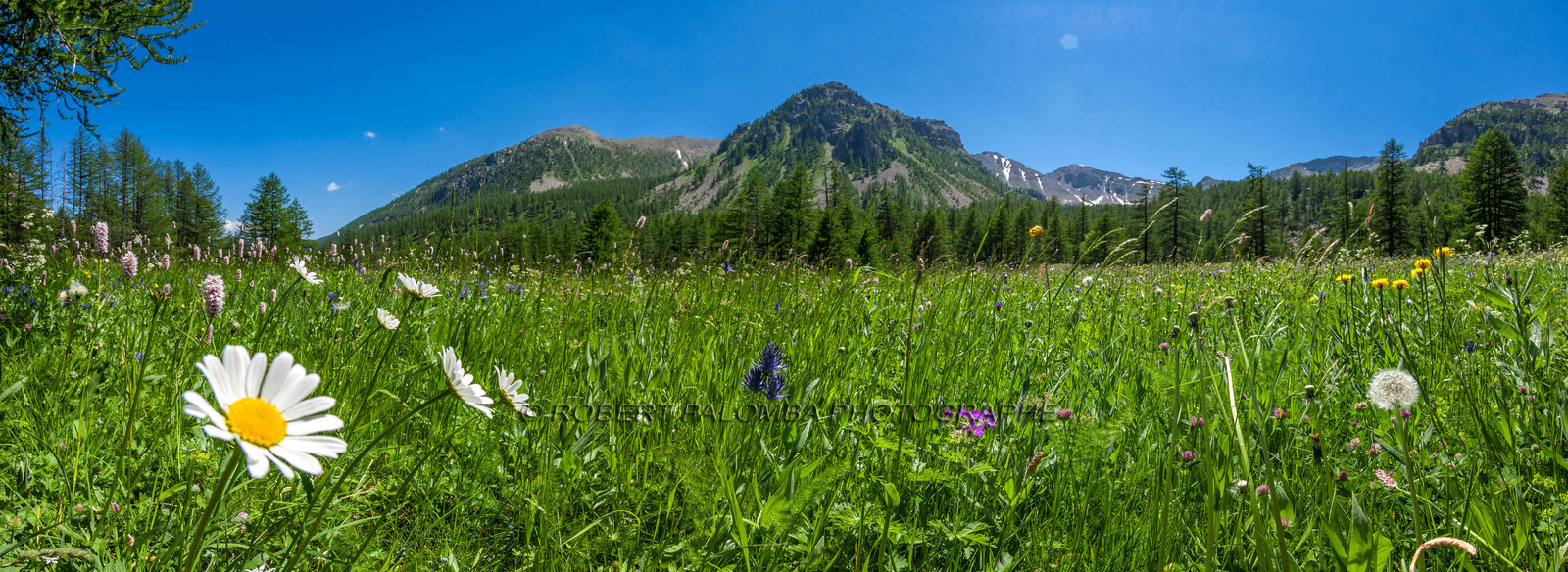 Col de la Moutière