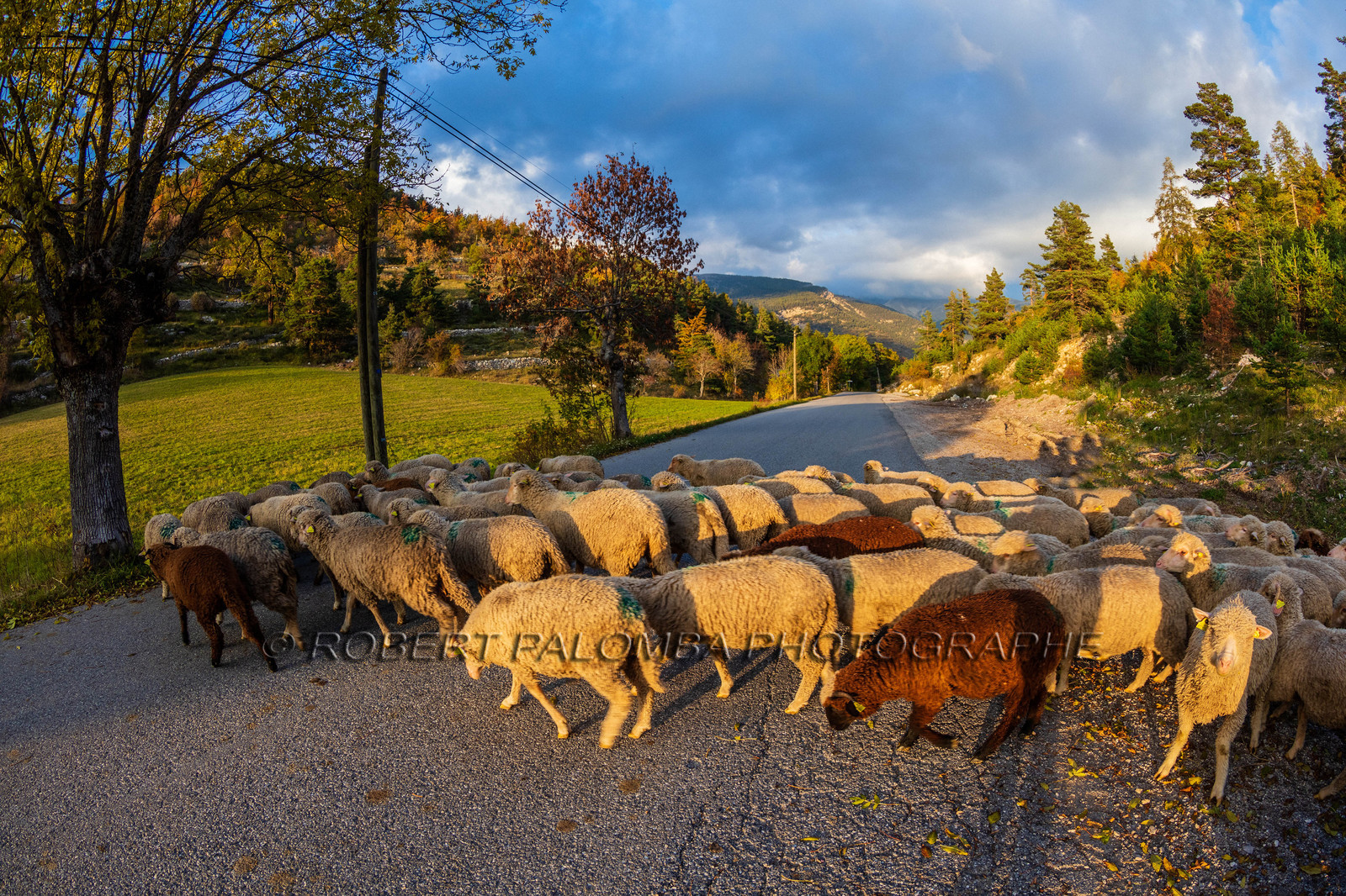La Colle Saint-Michel