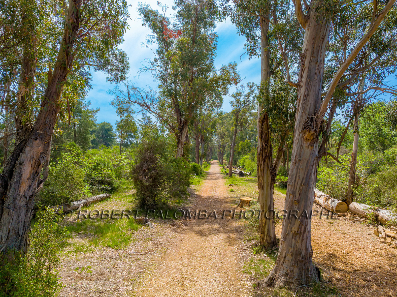Lérins Sainte-Marguerite