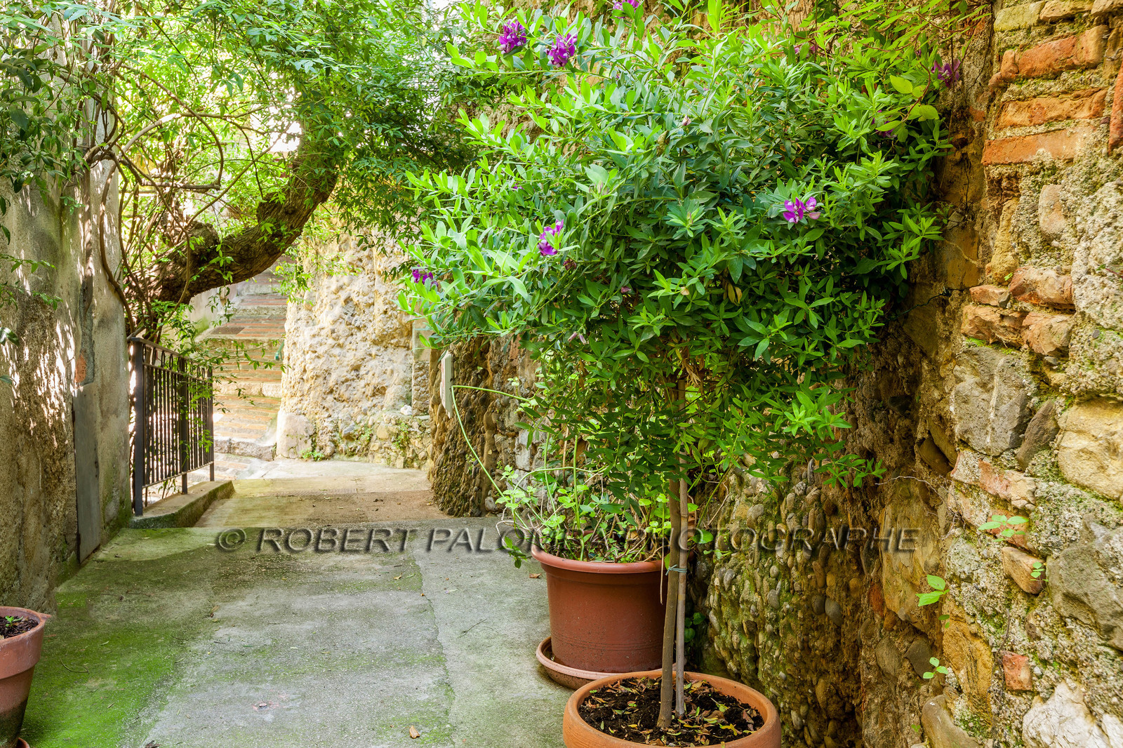 Roquebrune-Cap-Martin