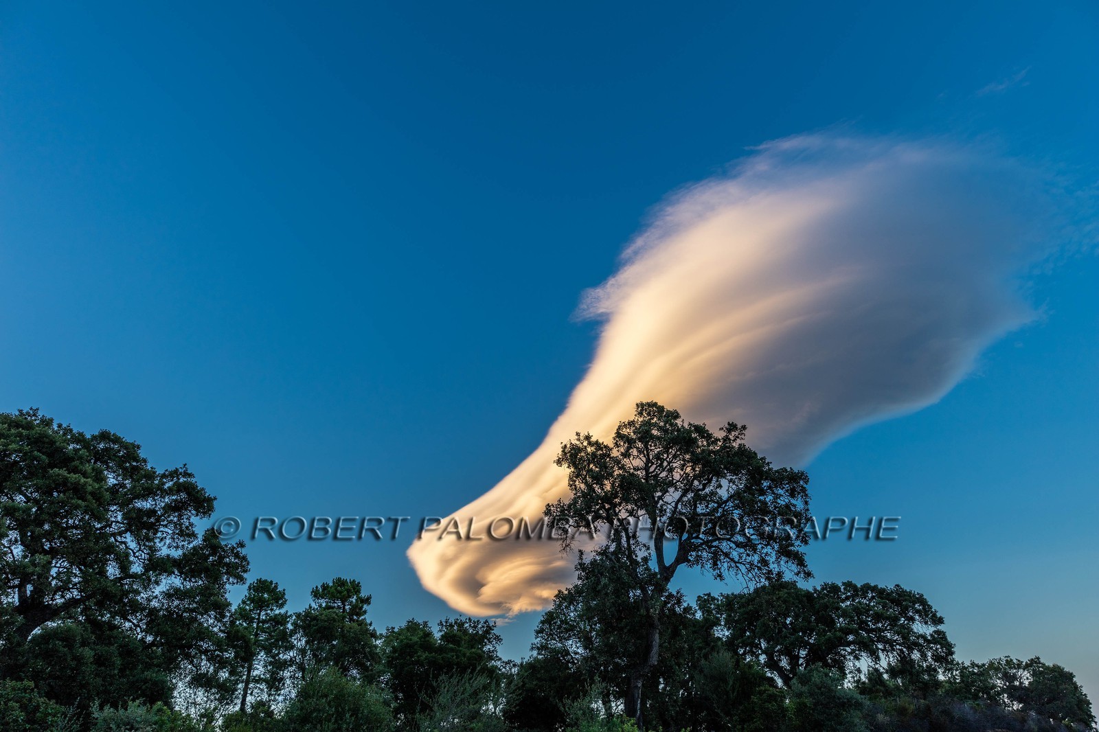 Lenticulaire