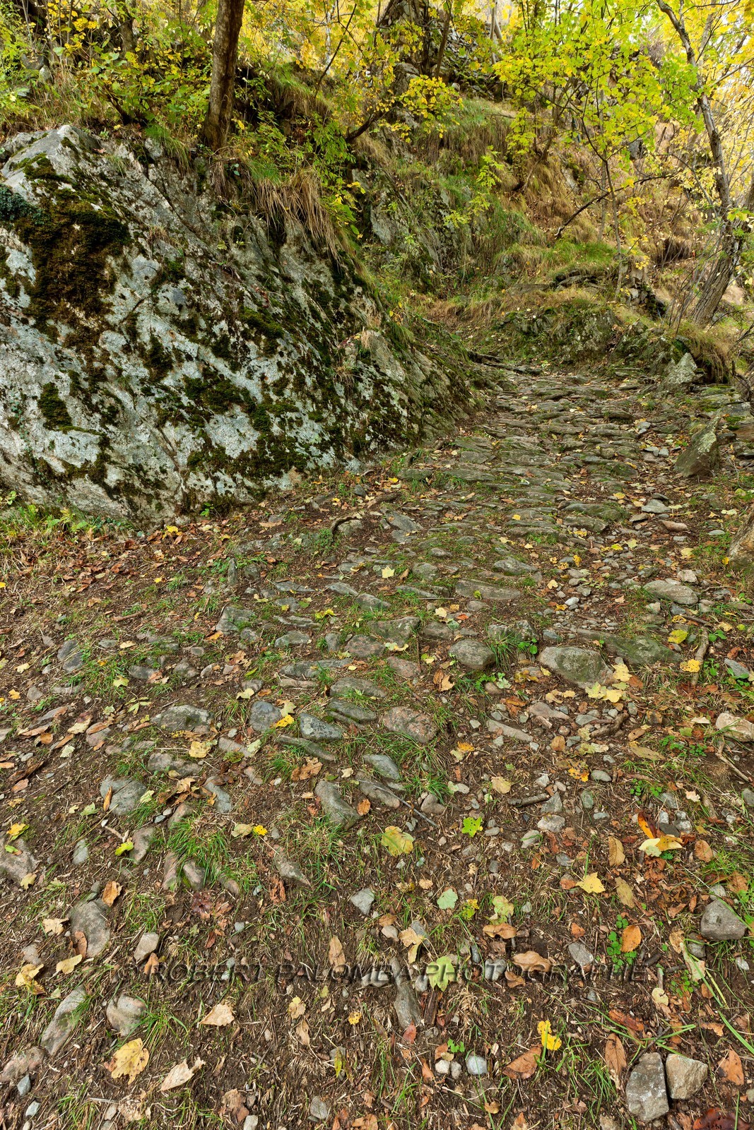 Sentier cascade de Louch