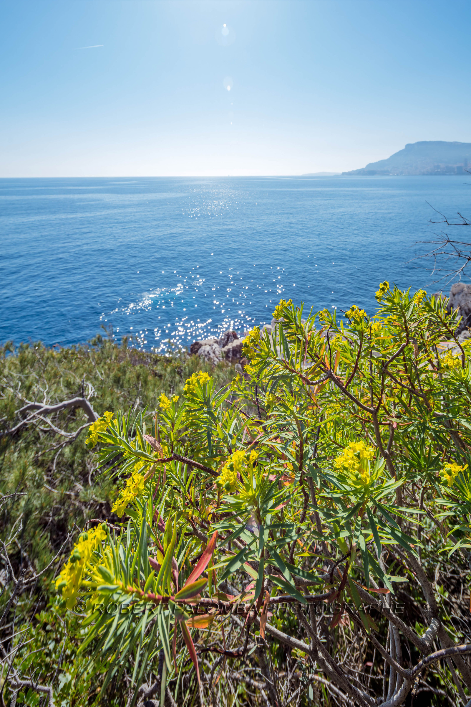Roquebrune-Cap-Martin