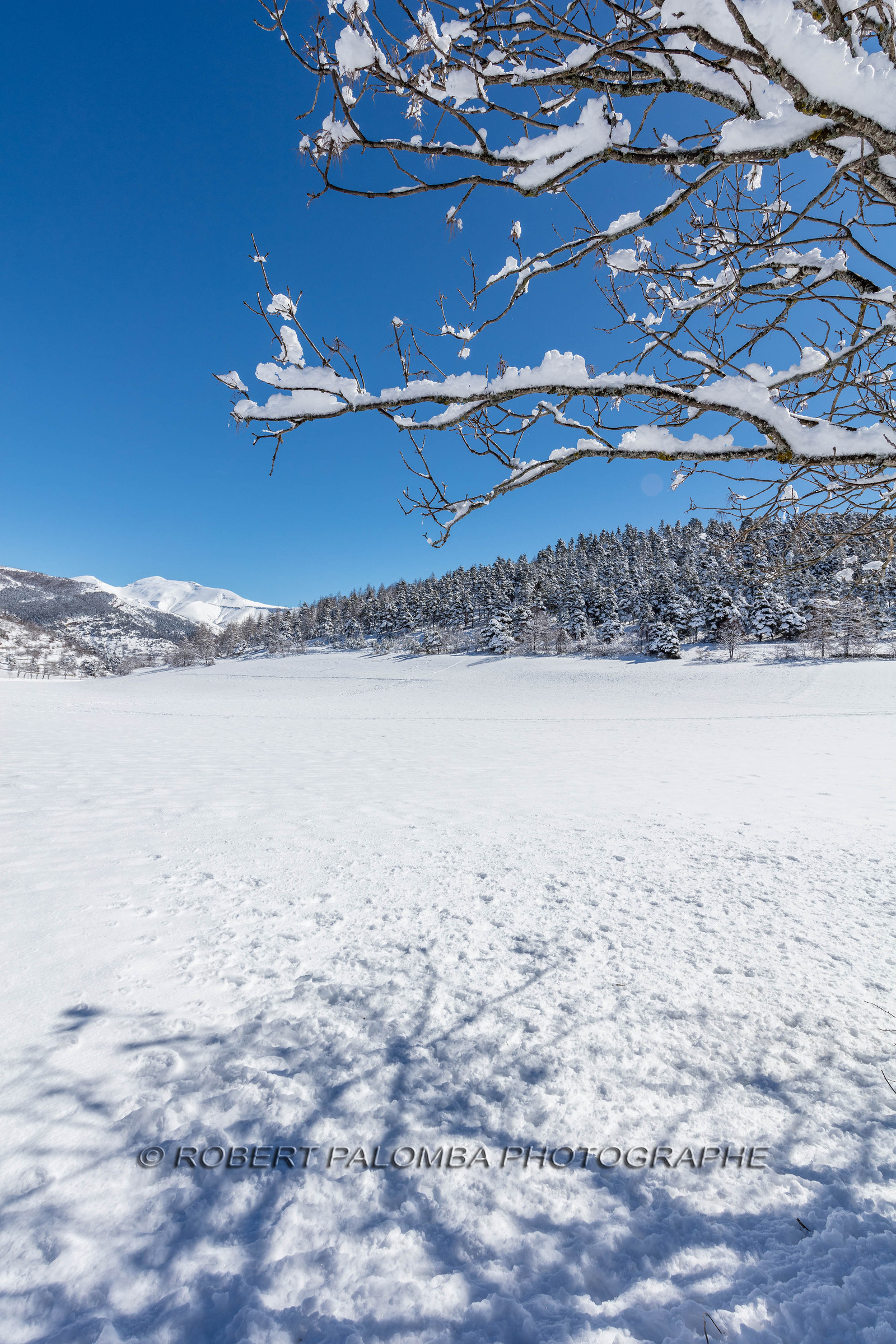 La Colle-Saint-Michel
