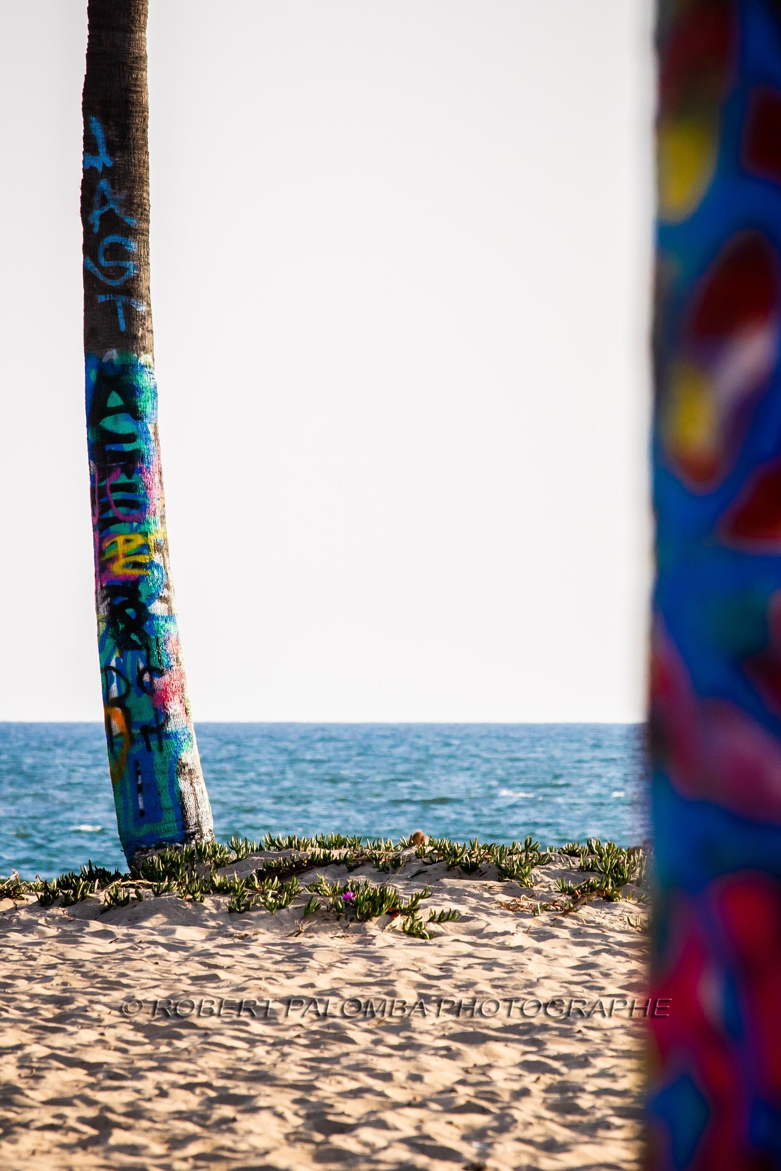 Etats-Unis, Californie-du-Sud, Los Angeles, Venice, Venice Beach