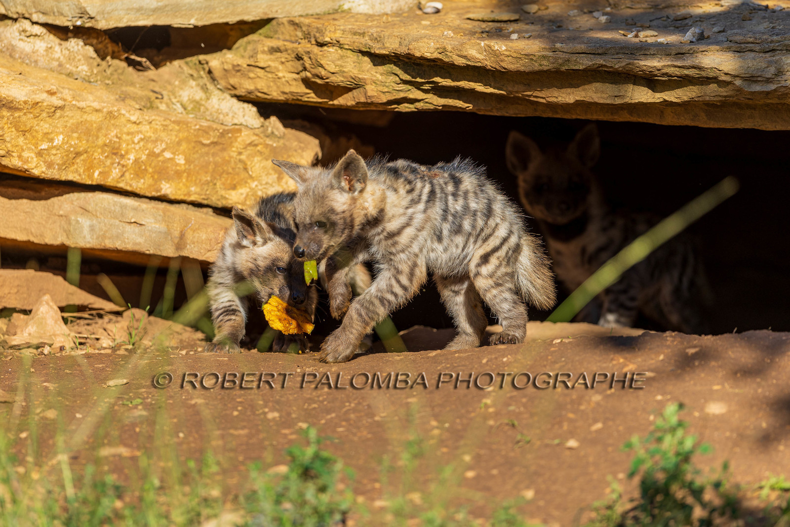 Parc animalier de la Barben