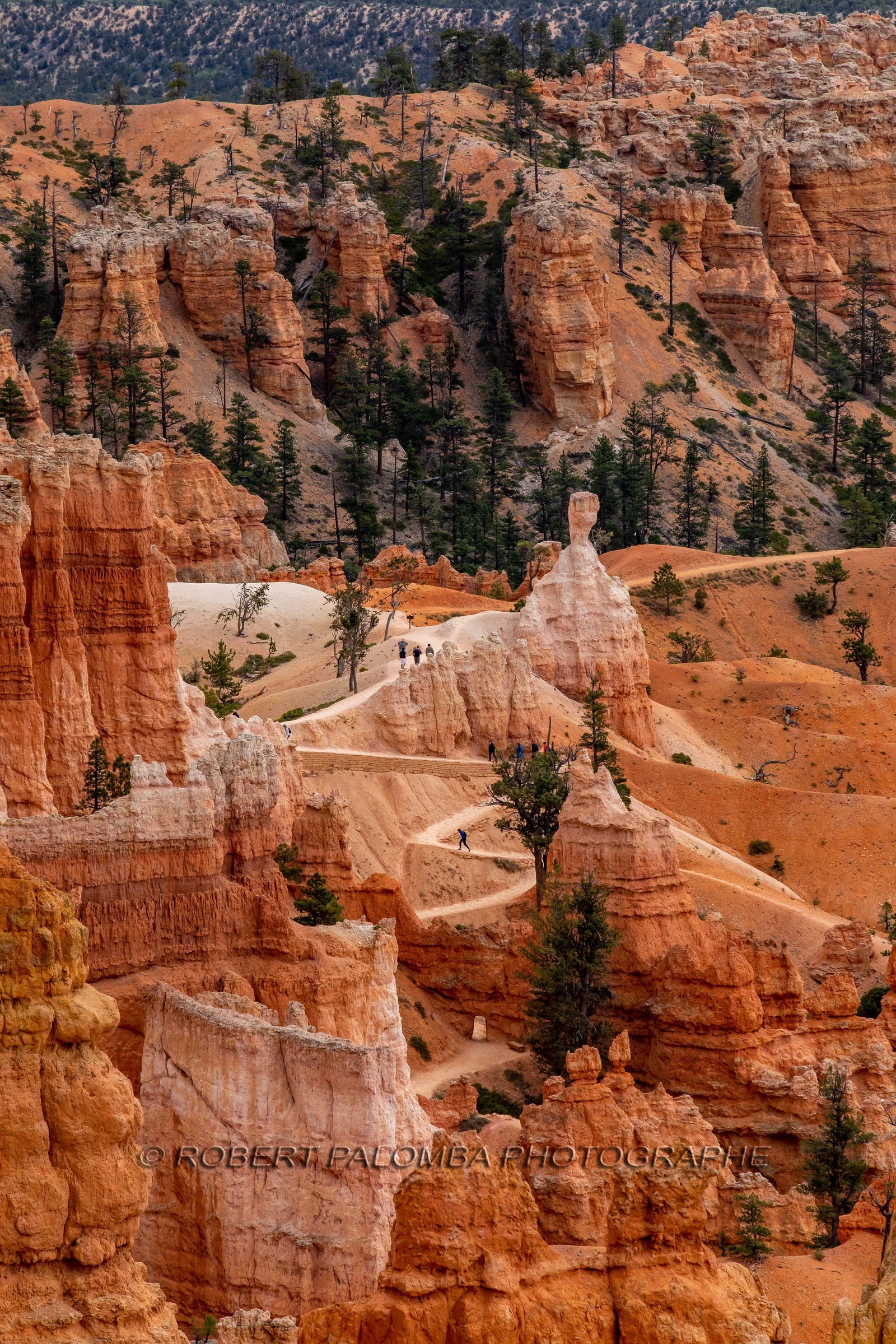 Bryce Canyon