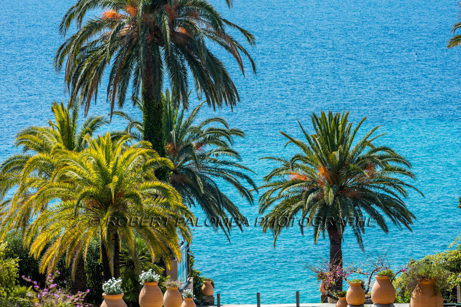 Rayol-Canadel-sur-Mer