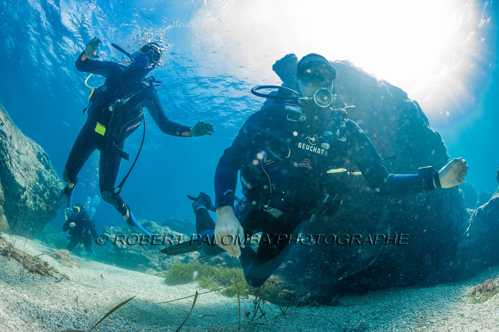Plongée sous-marine