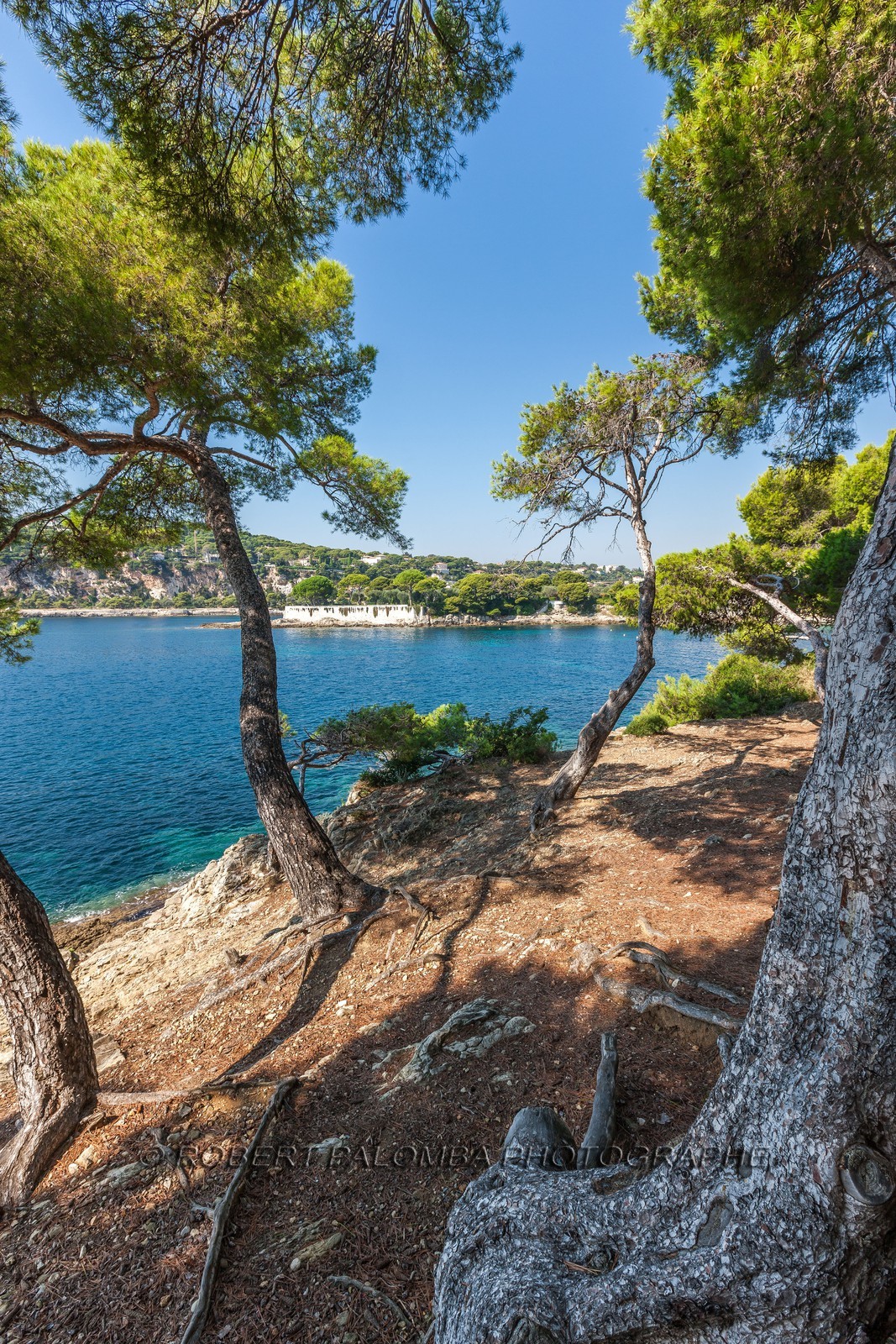 Saint-Jean-Cap-Ferrat