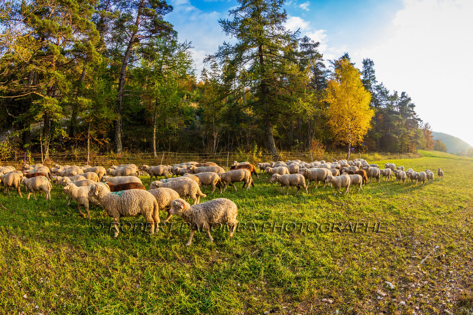 La Colle Saint-Michel