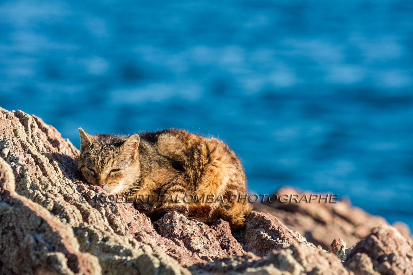 Mandelieu-la-Napoule