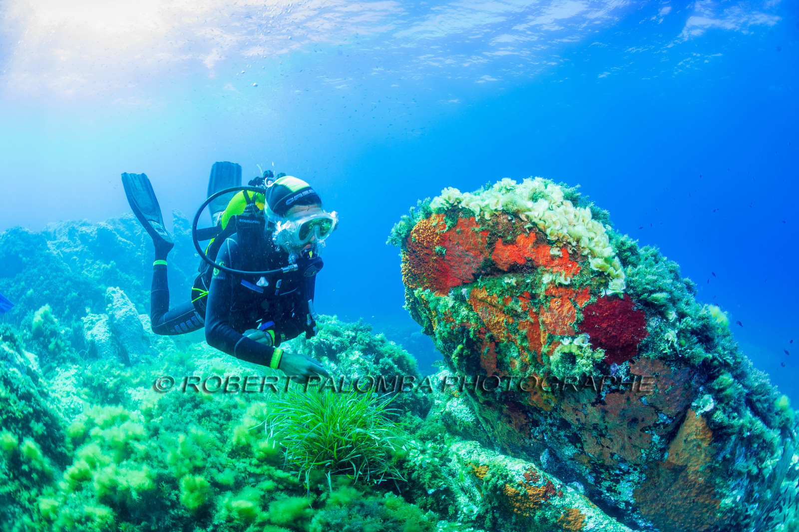 Plongée-sous-marine