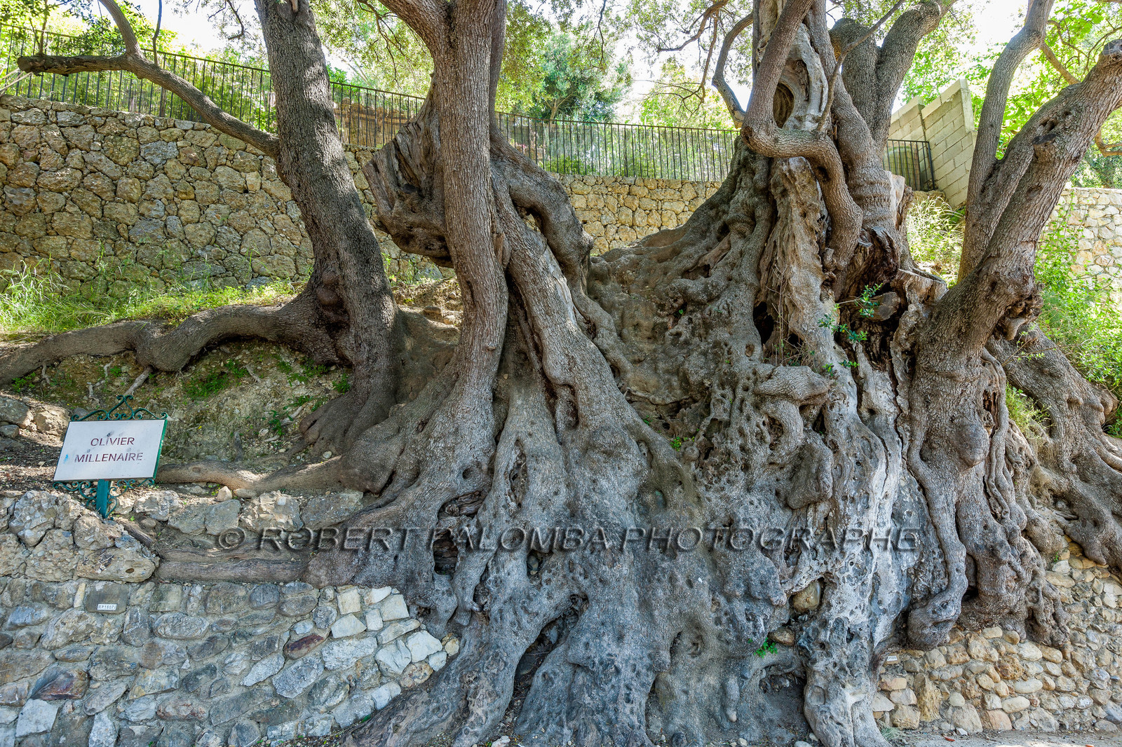 Roquebrune-Cap-Martin