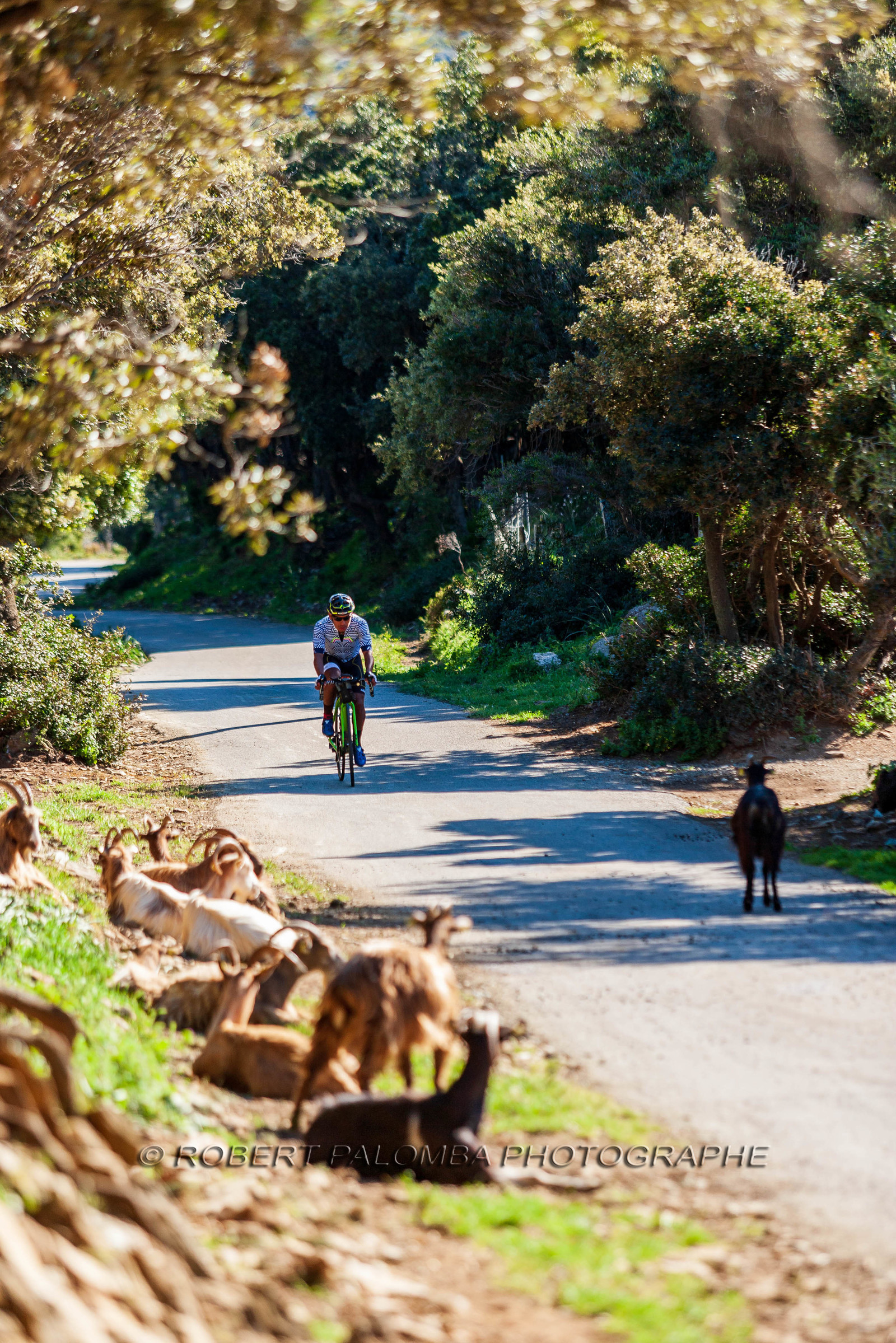 Bikingman Corsica 2019