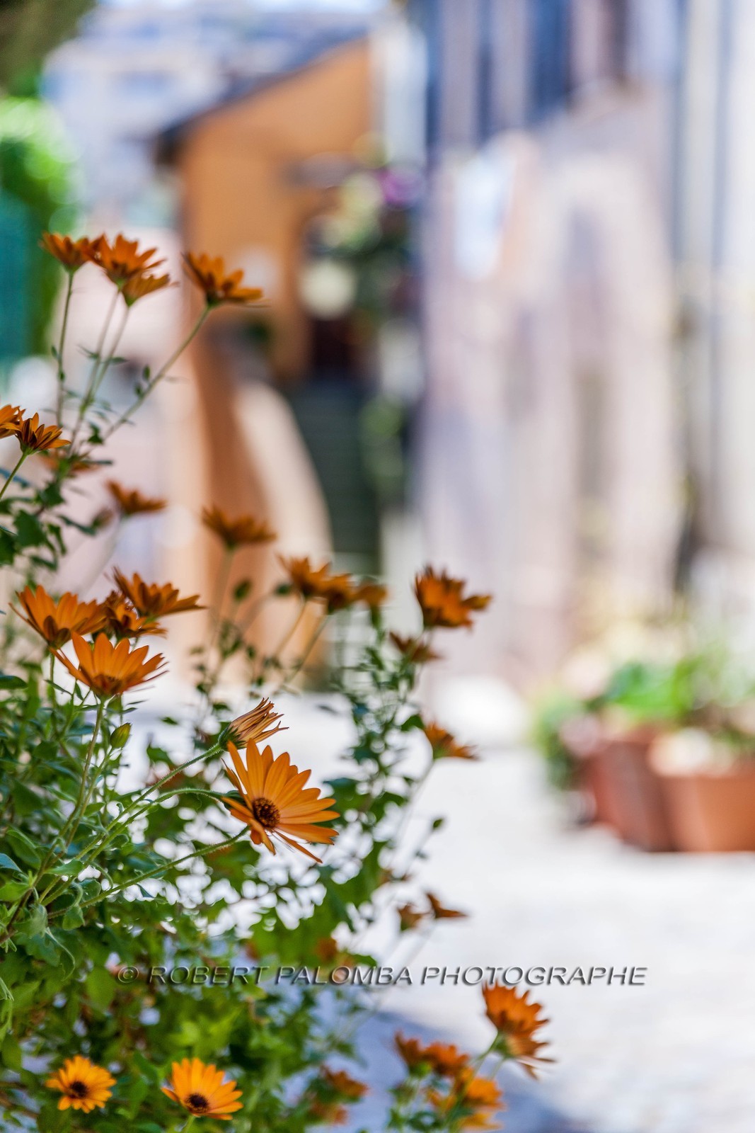 Saint-Laurent-du-Var