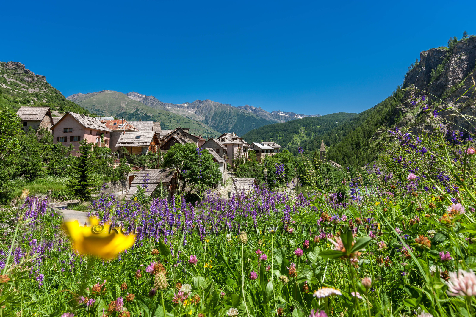 Saint-Dalmas-le-Selvage