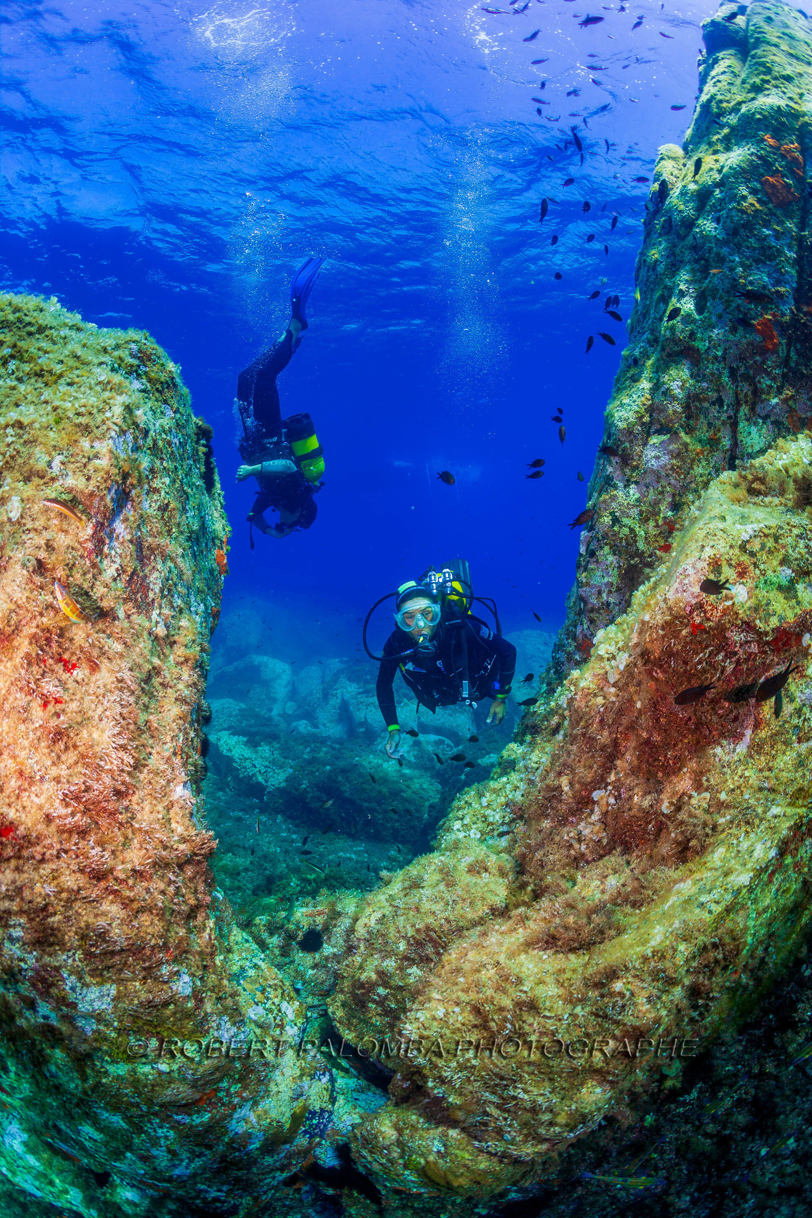 Plongée-sous-marine