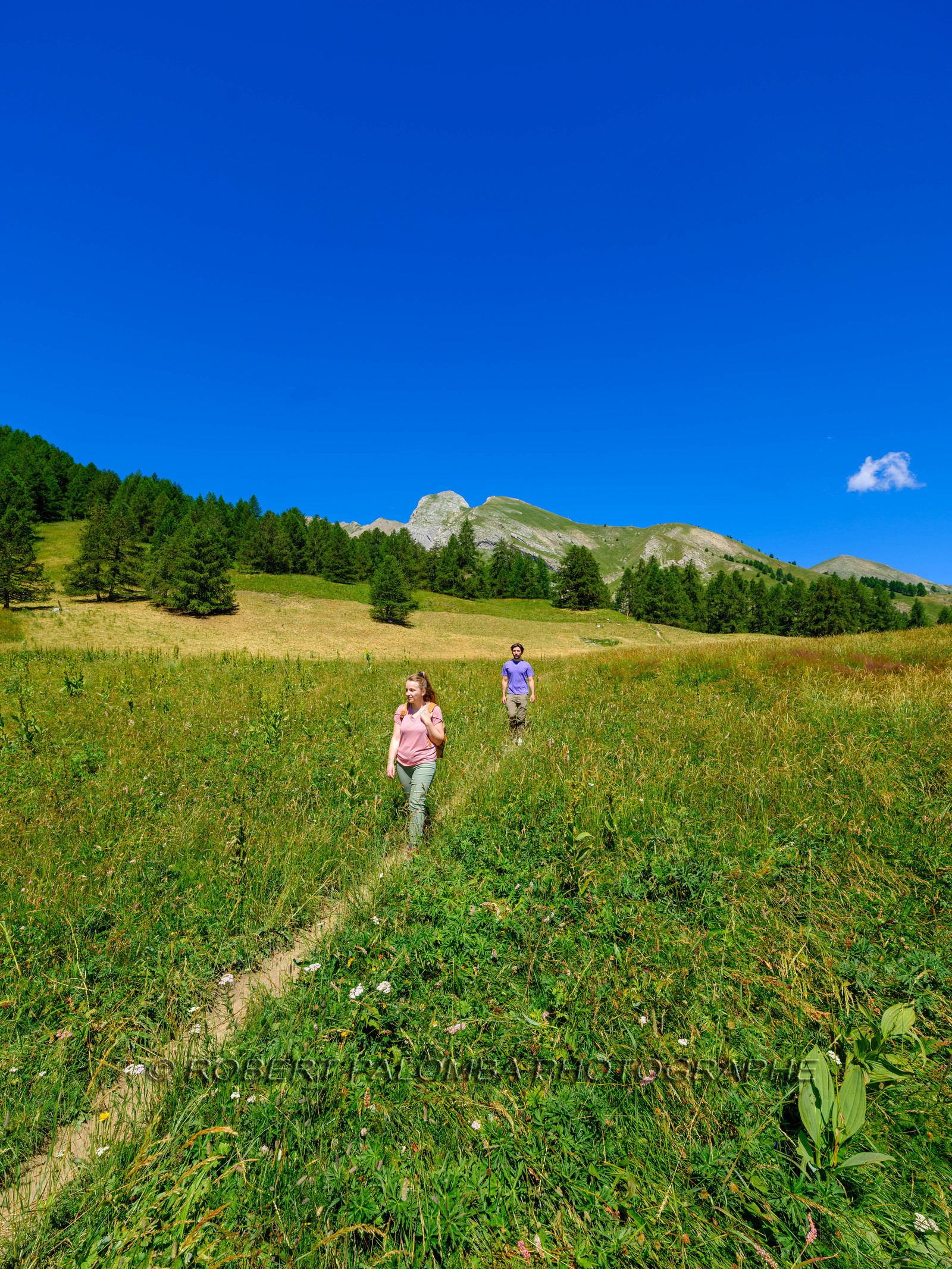 Rando Lac des Grenouilles