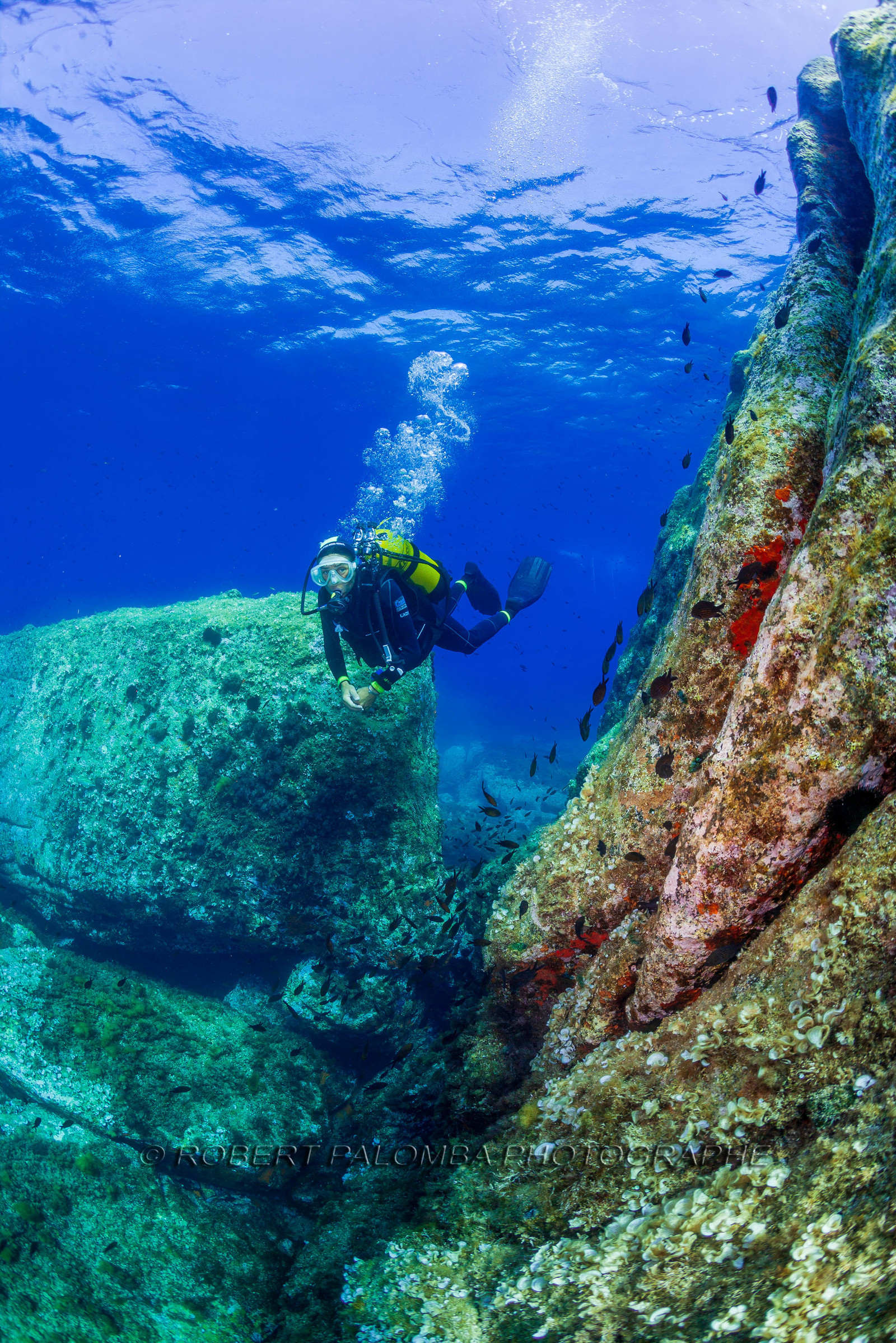 Plongée-sous-marine