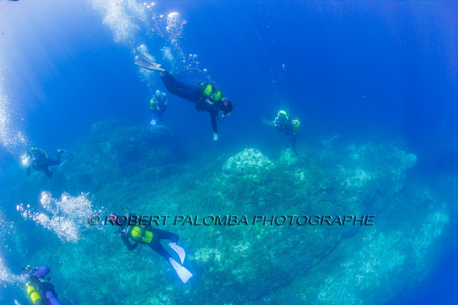 Plongée-sous-marine