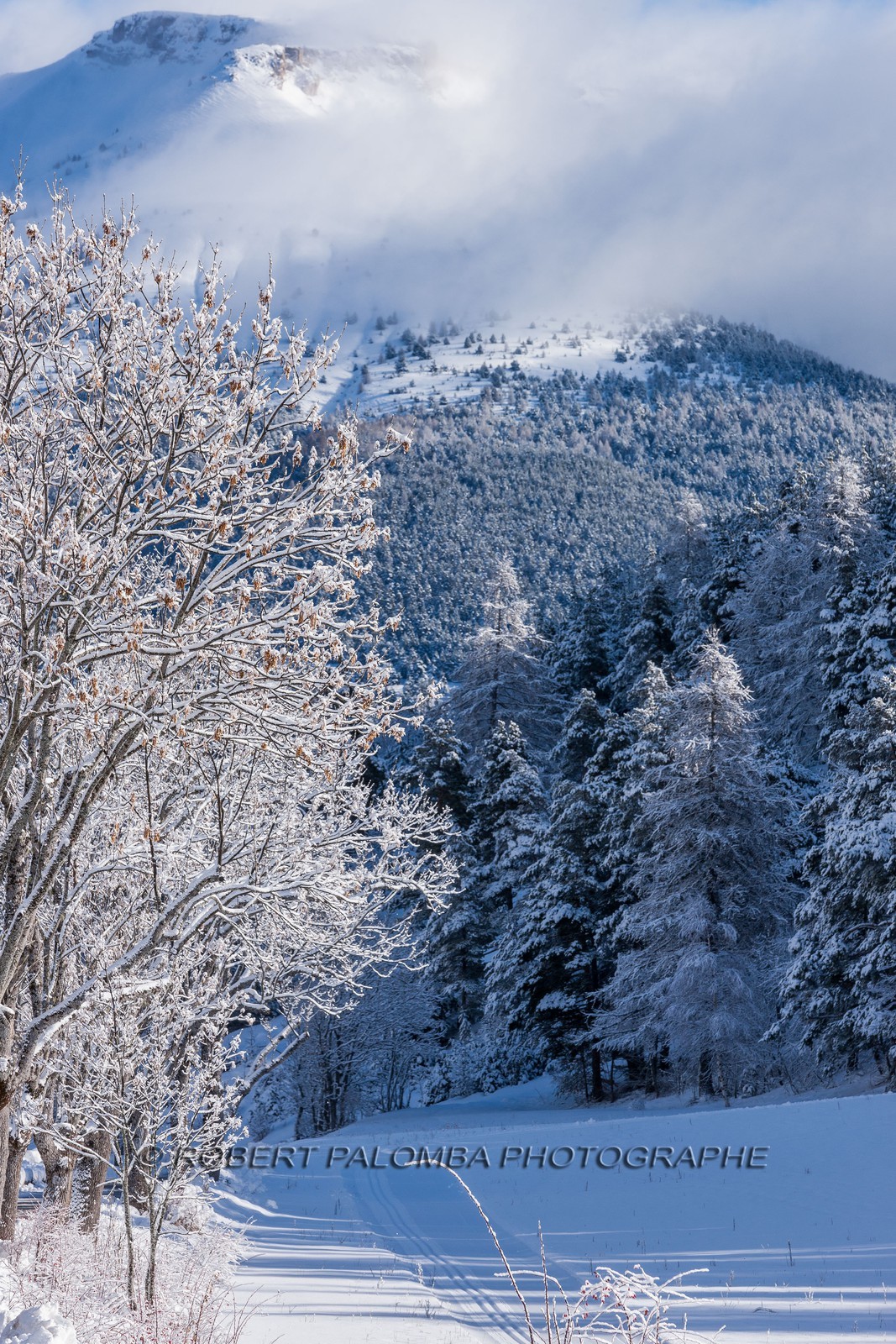 La Colle-Saint-Michel