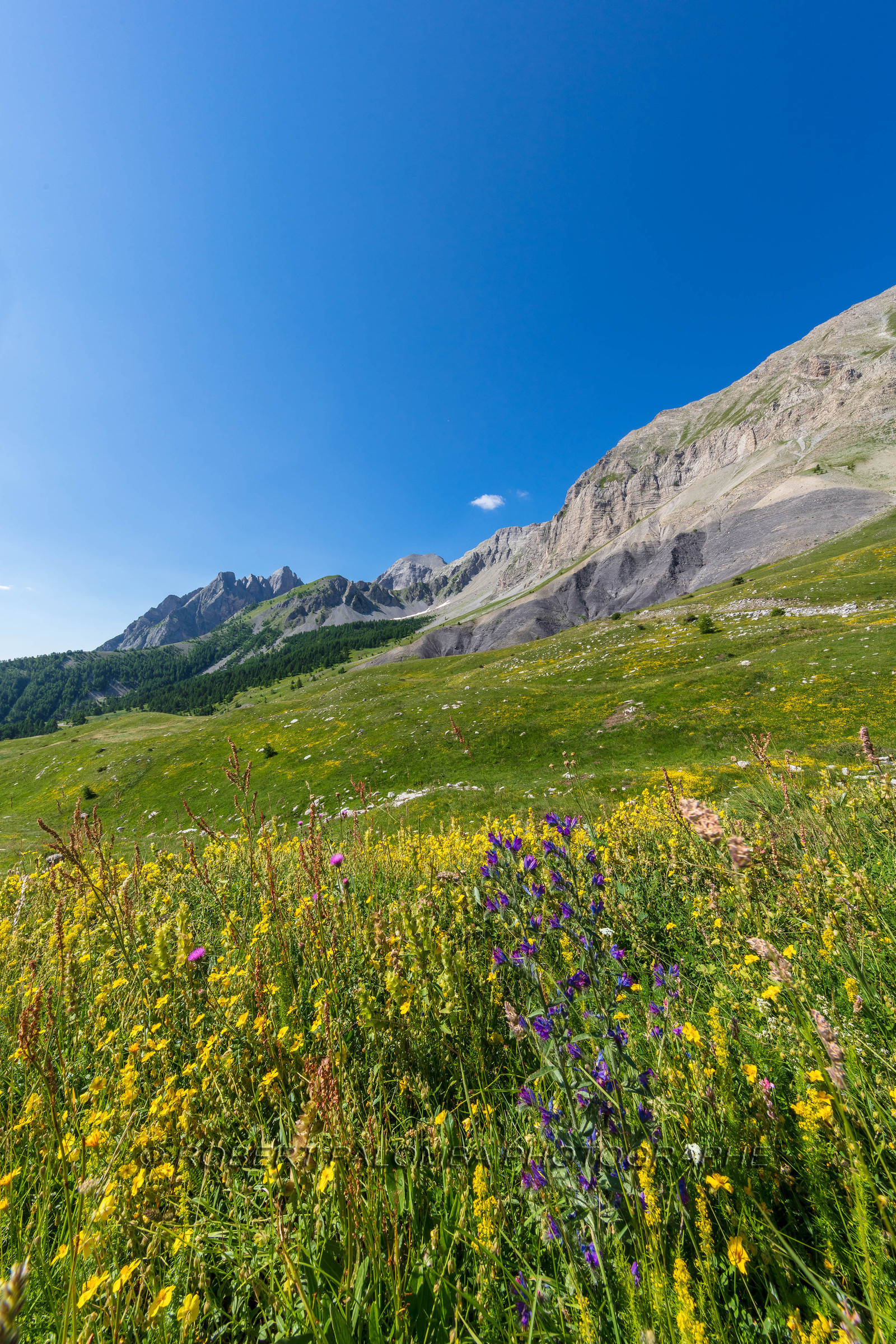 Col des Champs