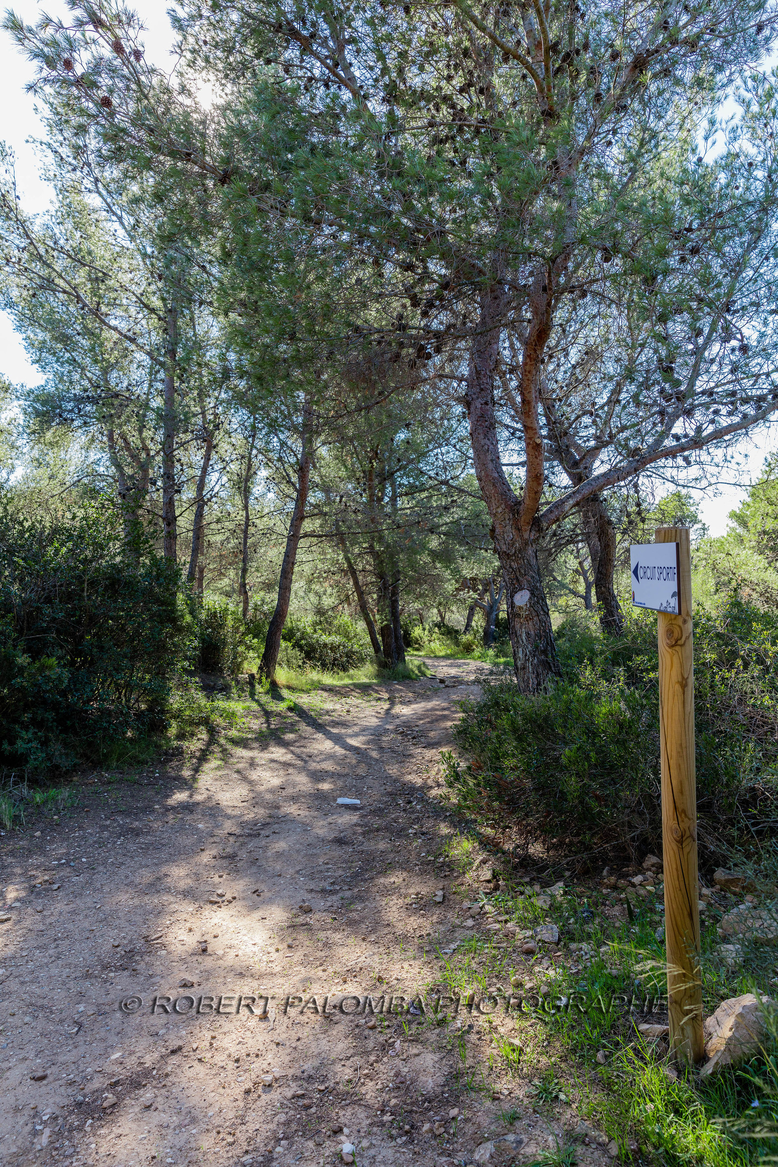 Saint-Mandrier-sur-Mer