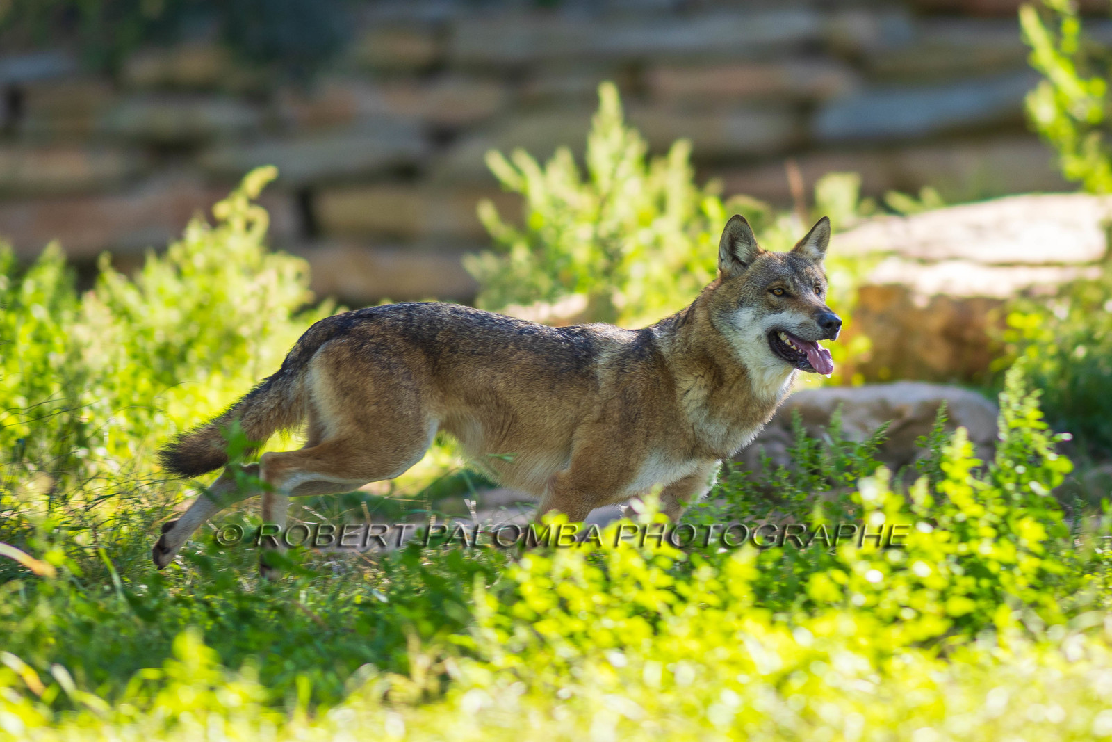 Parc animalier de la Barben