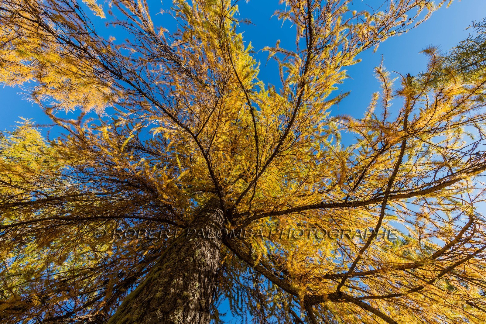 Granges de la Brasque