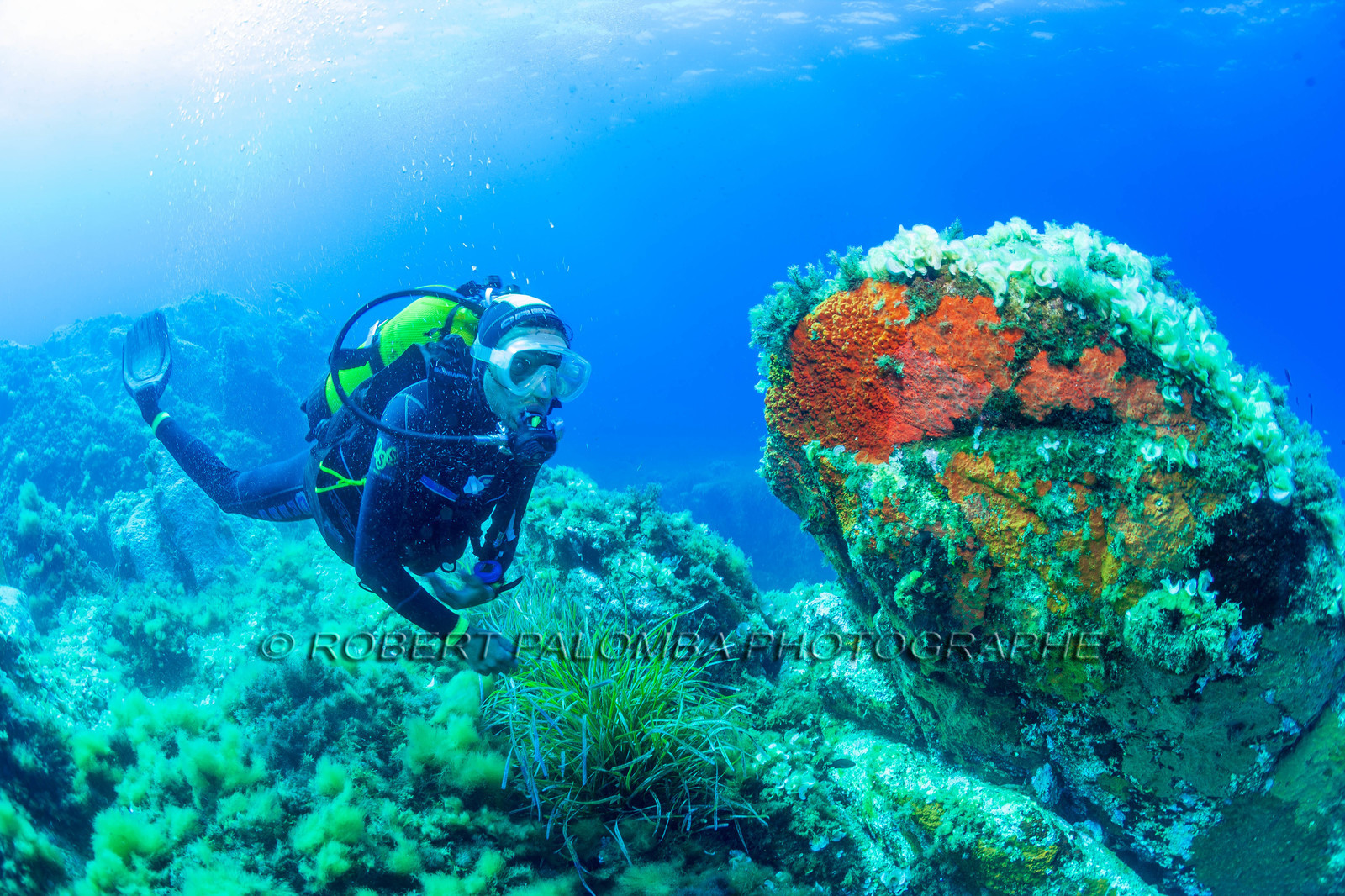 Plongée-sous-marine