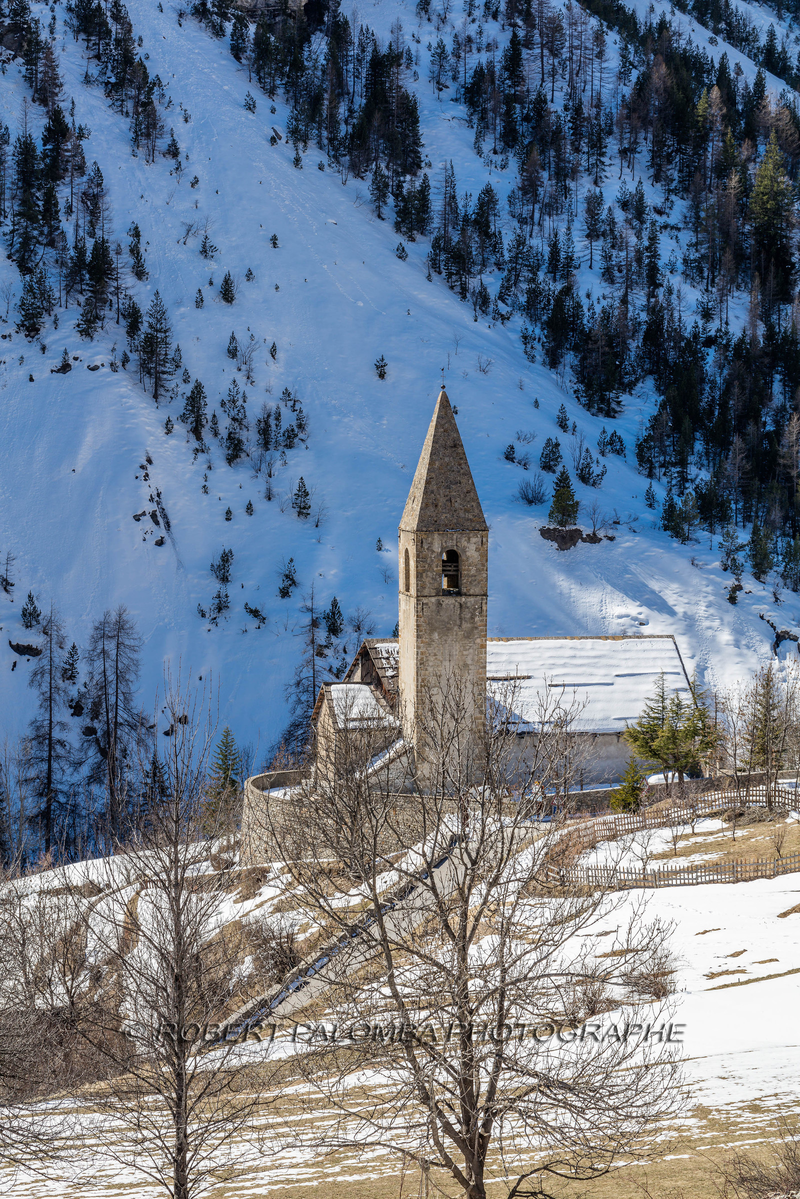 Saint-Dalmas-le-Selvage