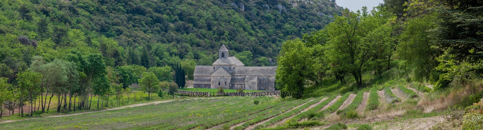 Abbaye de Sénanque