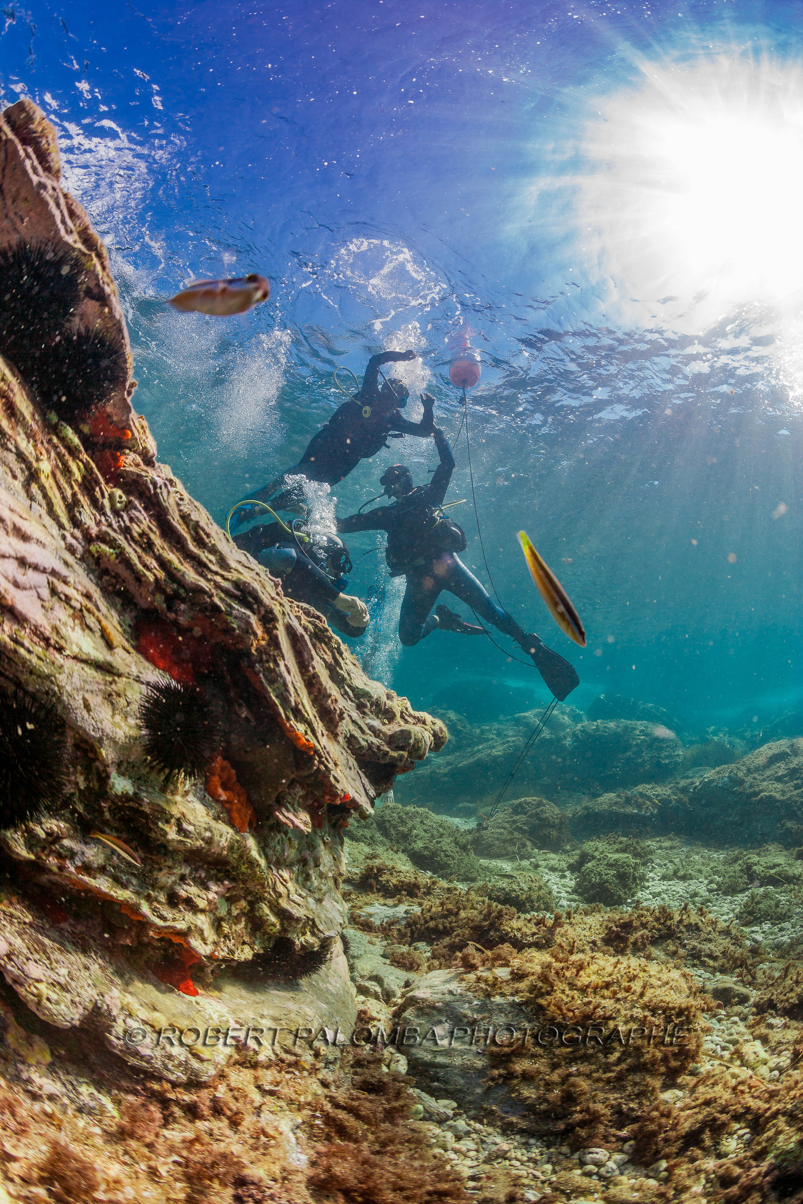Plongée sous-marine