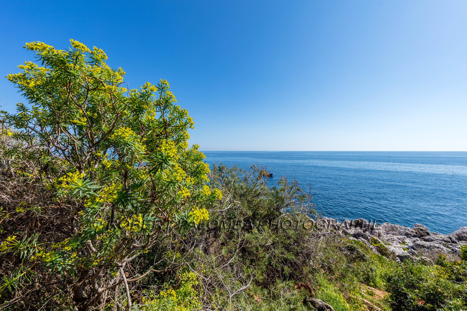 Roquebrune-Cap-Martin