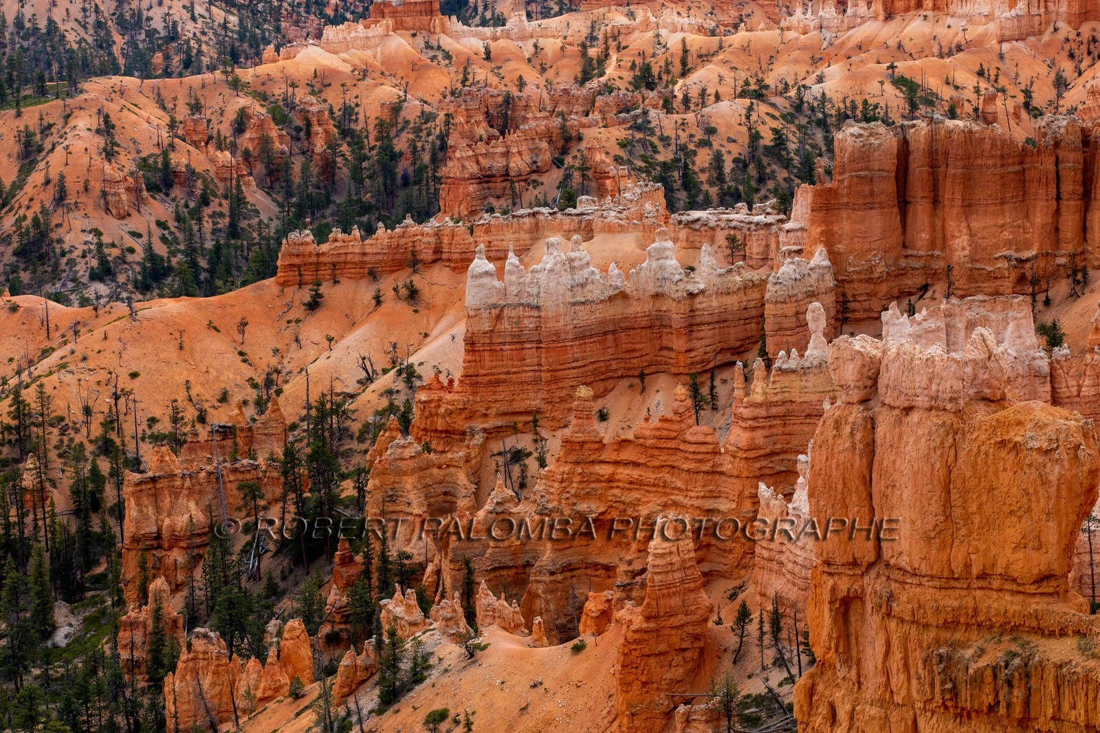 Bryce Canyon
