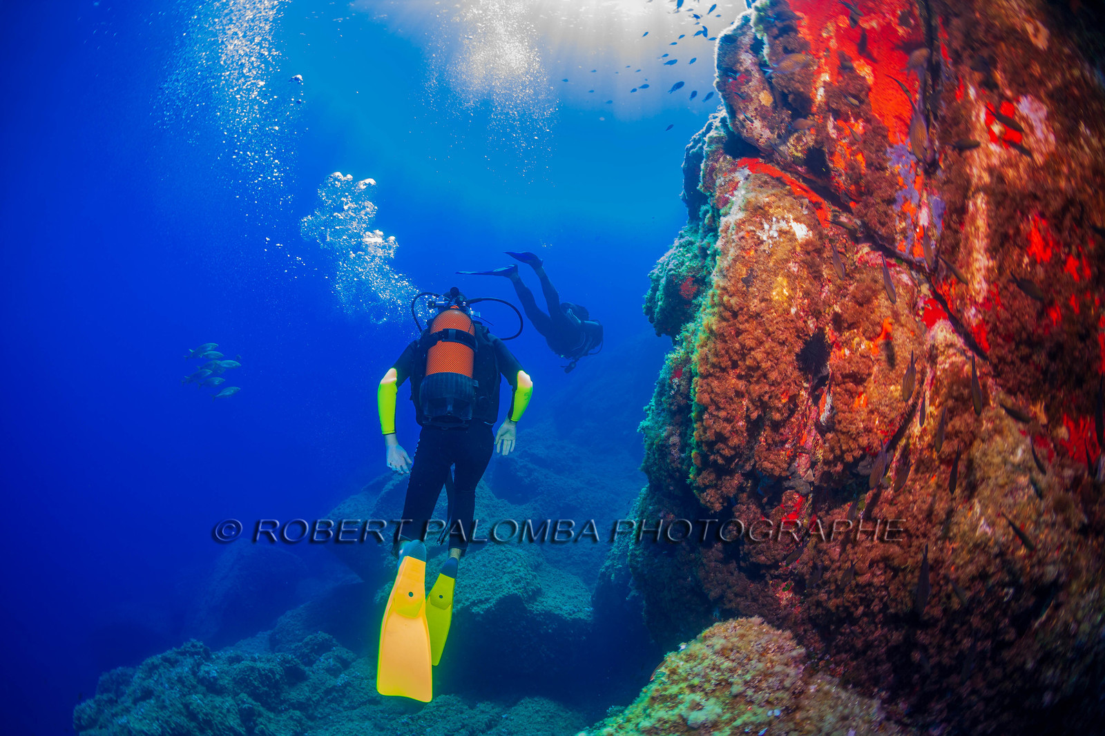 Plongée-sous-marine